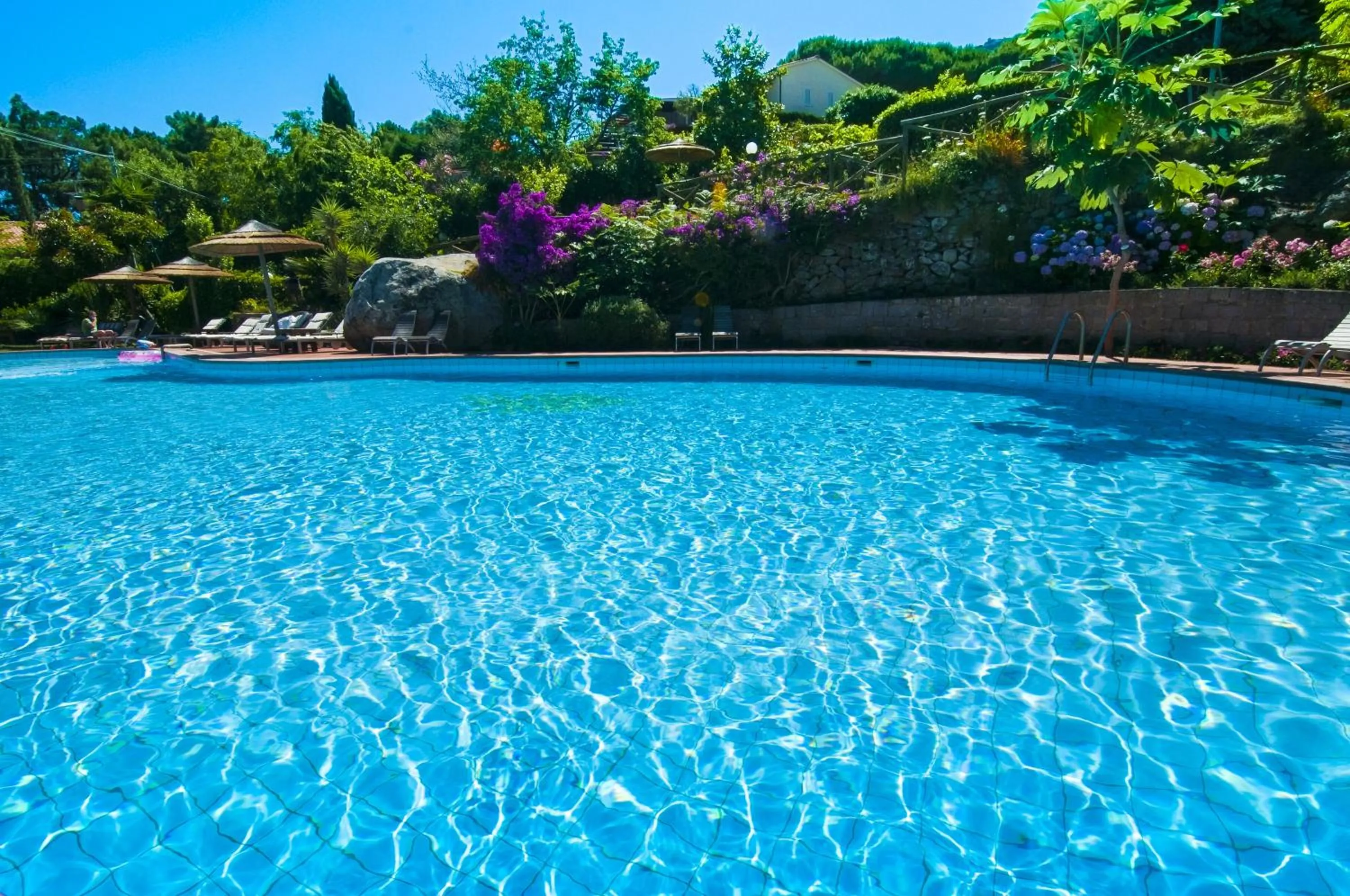 View (from property/room) in Hotel Cernia Isola Botanica