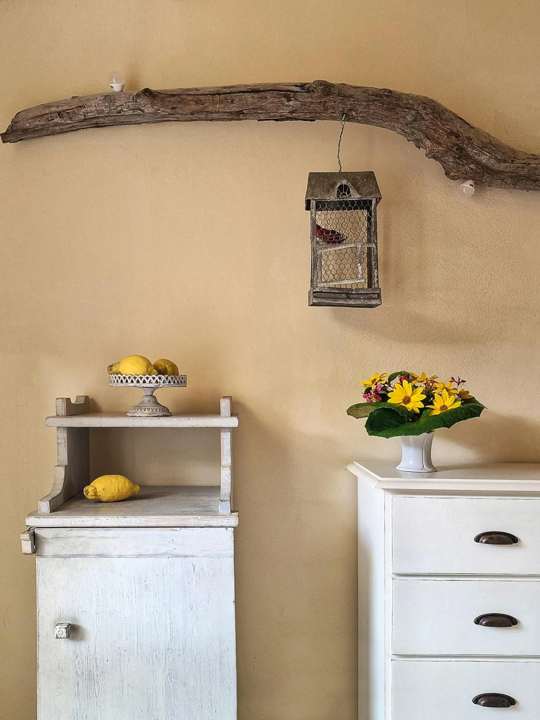 Decorative detail in Hotel Cernia Isola Botanica