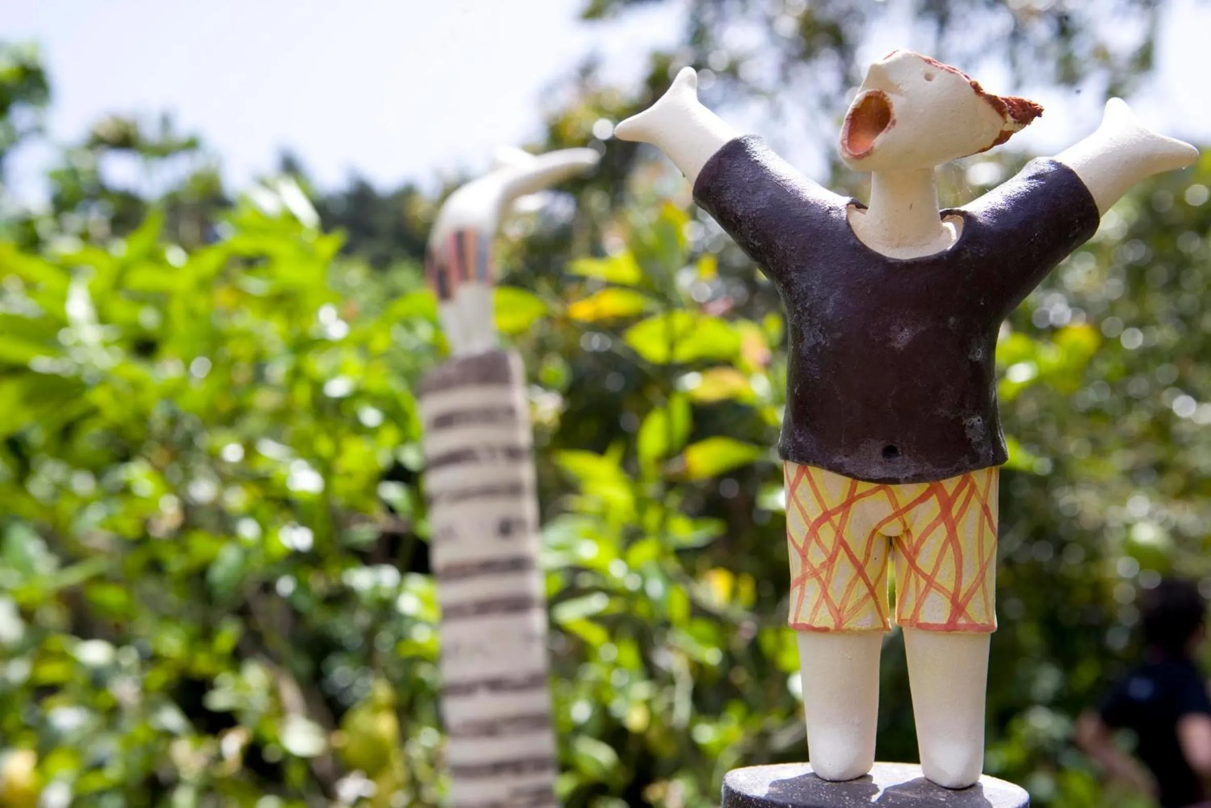 Other in Hotel Cernia Isola Botanica