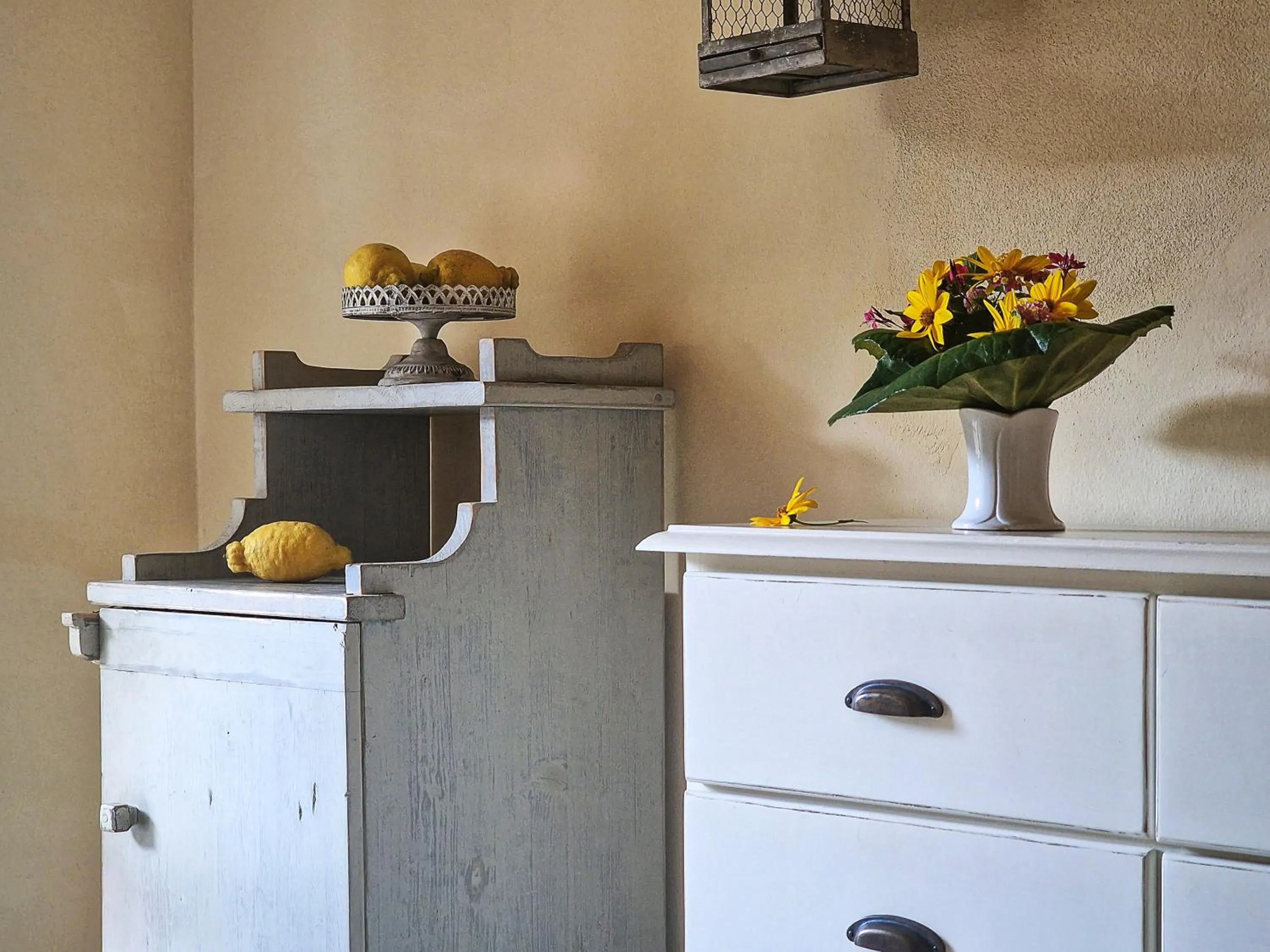 Decorative detail in Hotel Cernia Isola Botanica