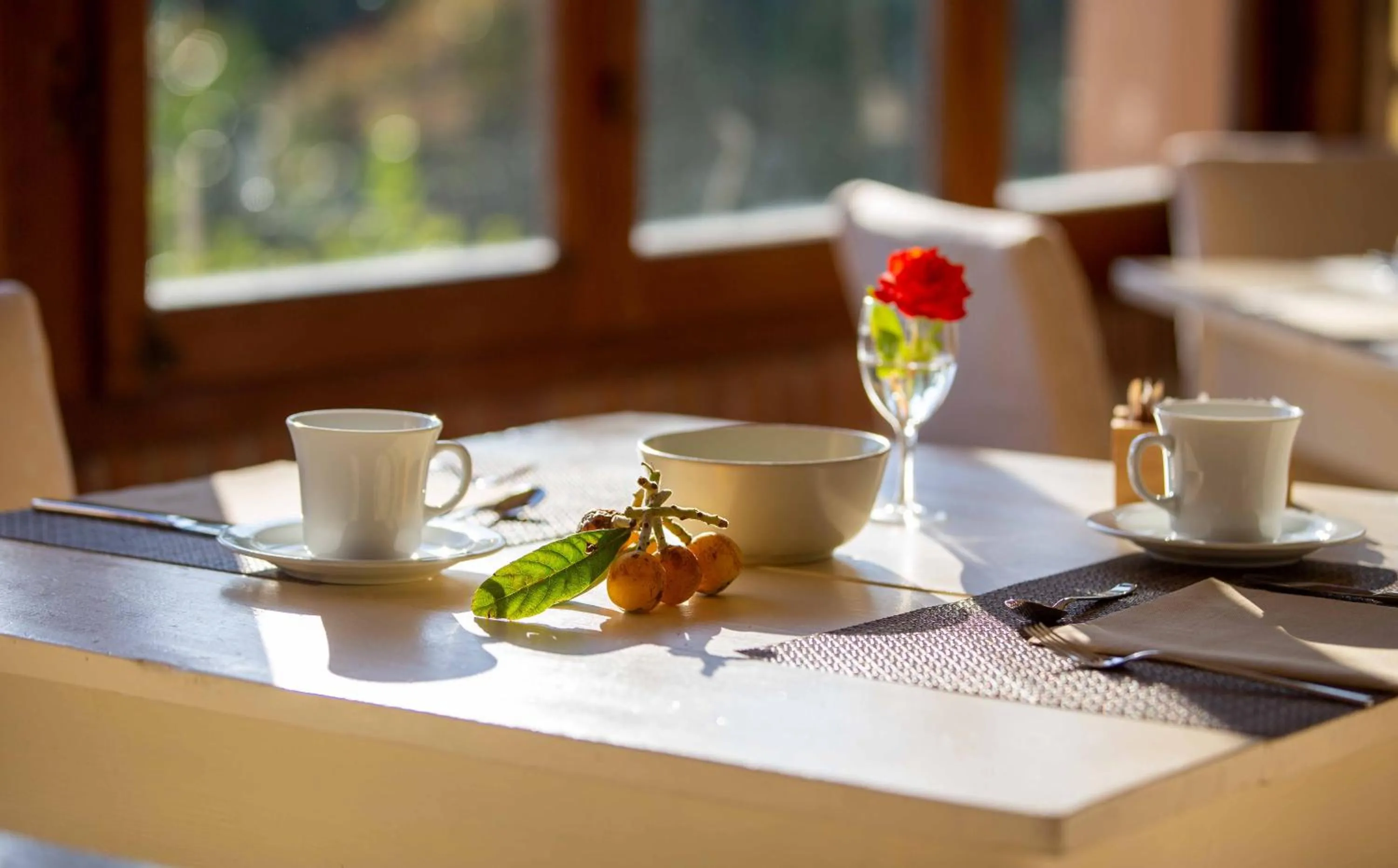 Restaurant/places to eat in Hotel Cernia Isola Botanica