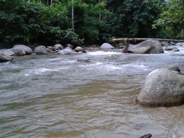 Alisa Homestay