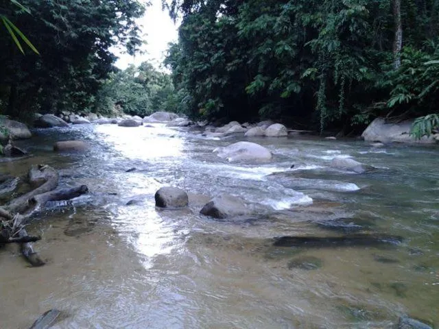 Alisa Homestay