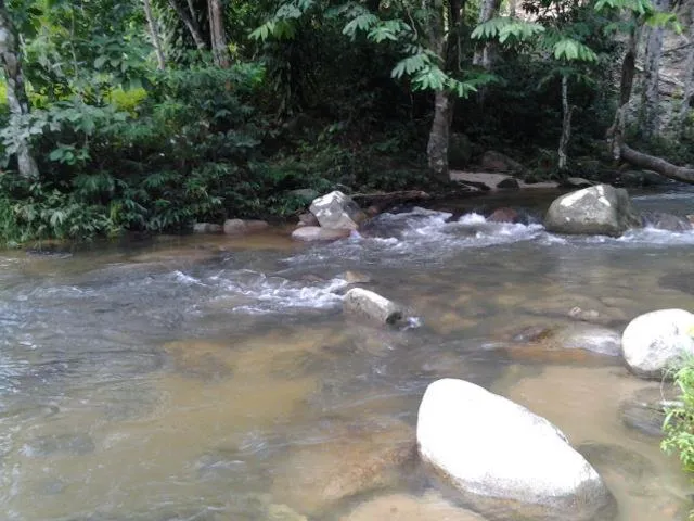 Alisa Homestay