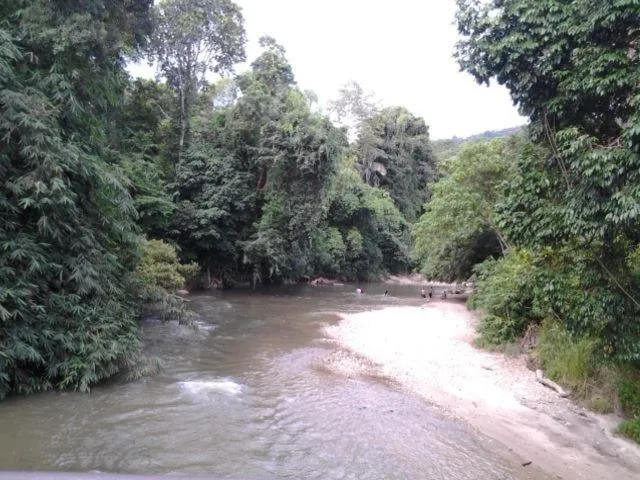Alisa Homestay
