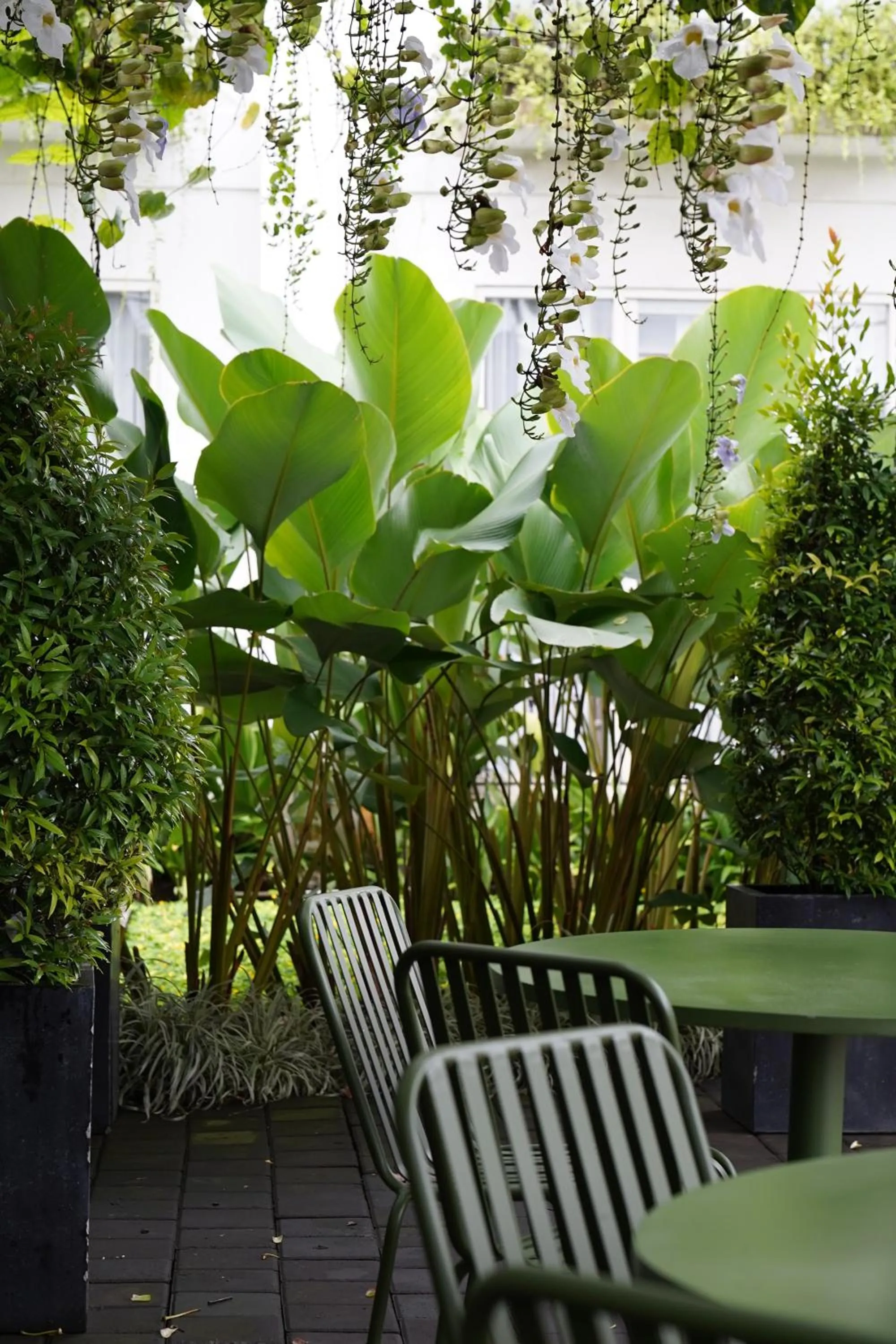 Day in Umpadhi Canggu