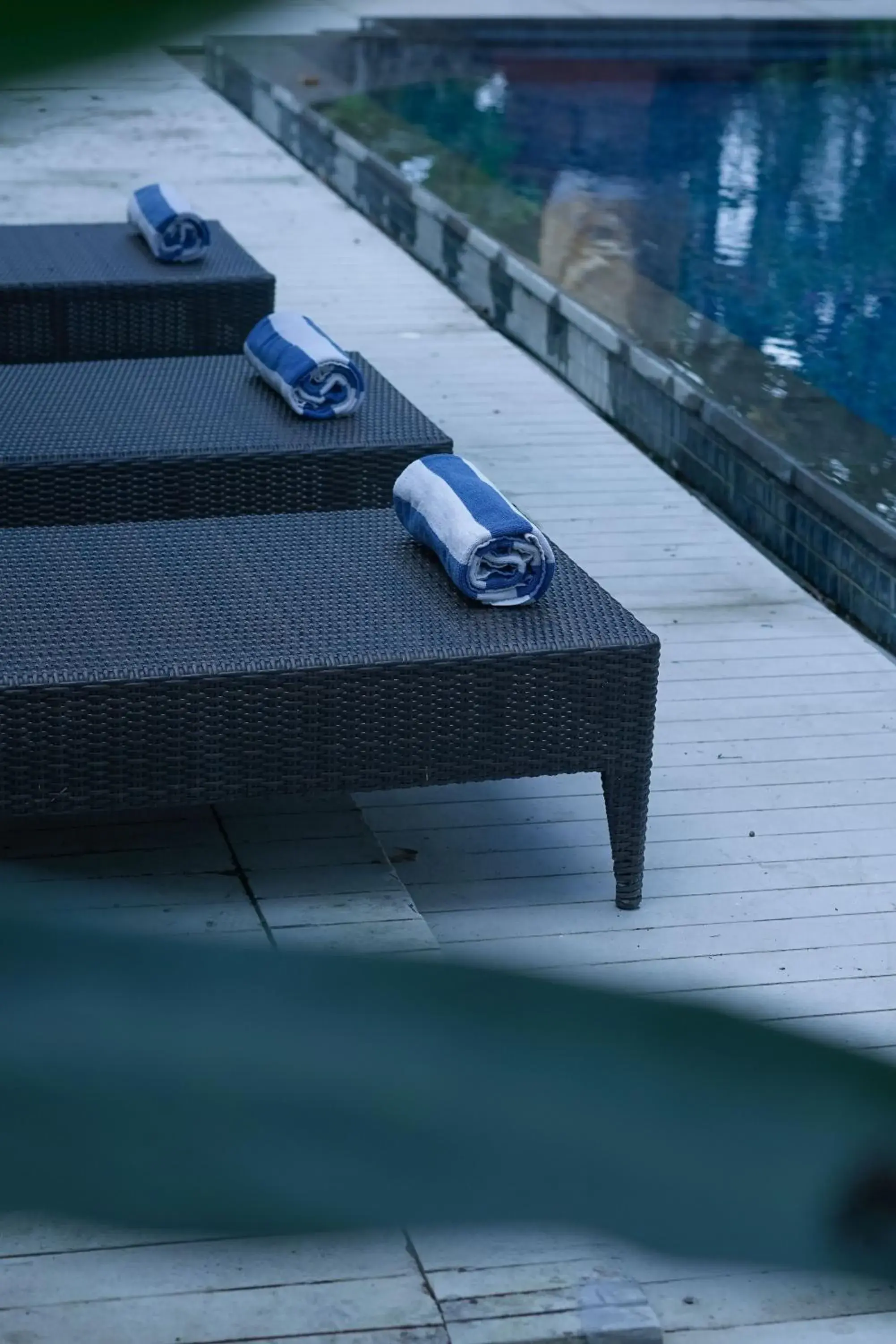 Pool view in Umpadhi Canggu Pool view in Umpadhi Canggu