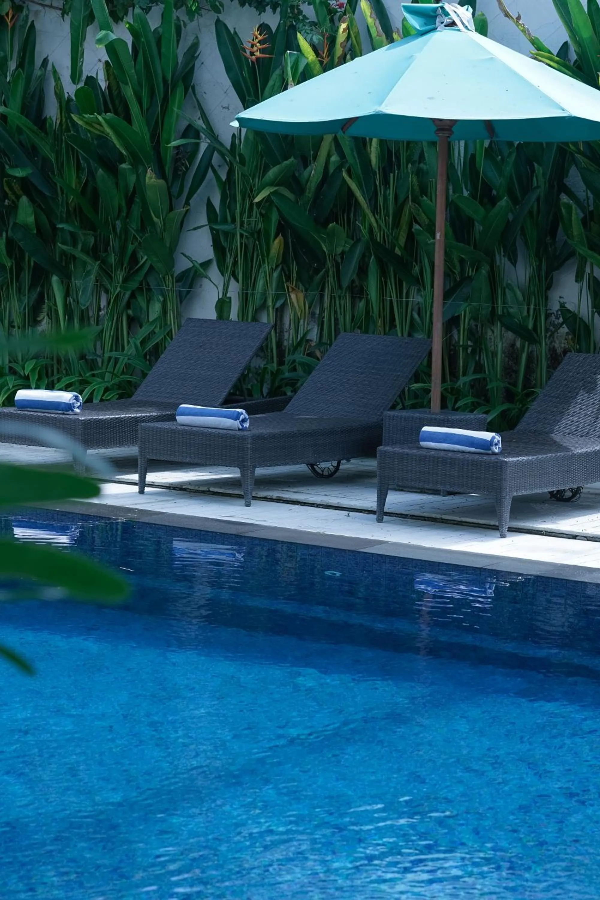 Swimming pool in Umpadhi Canggu