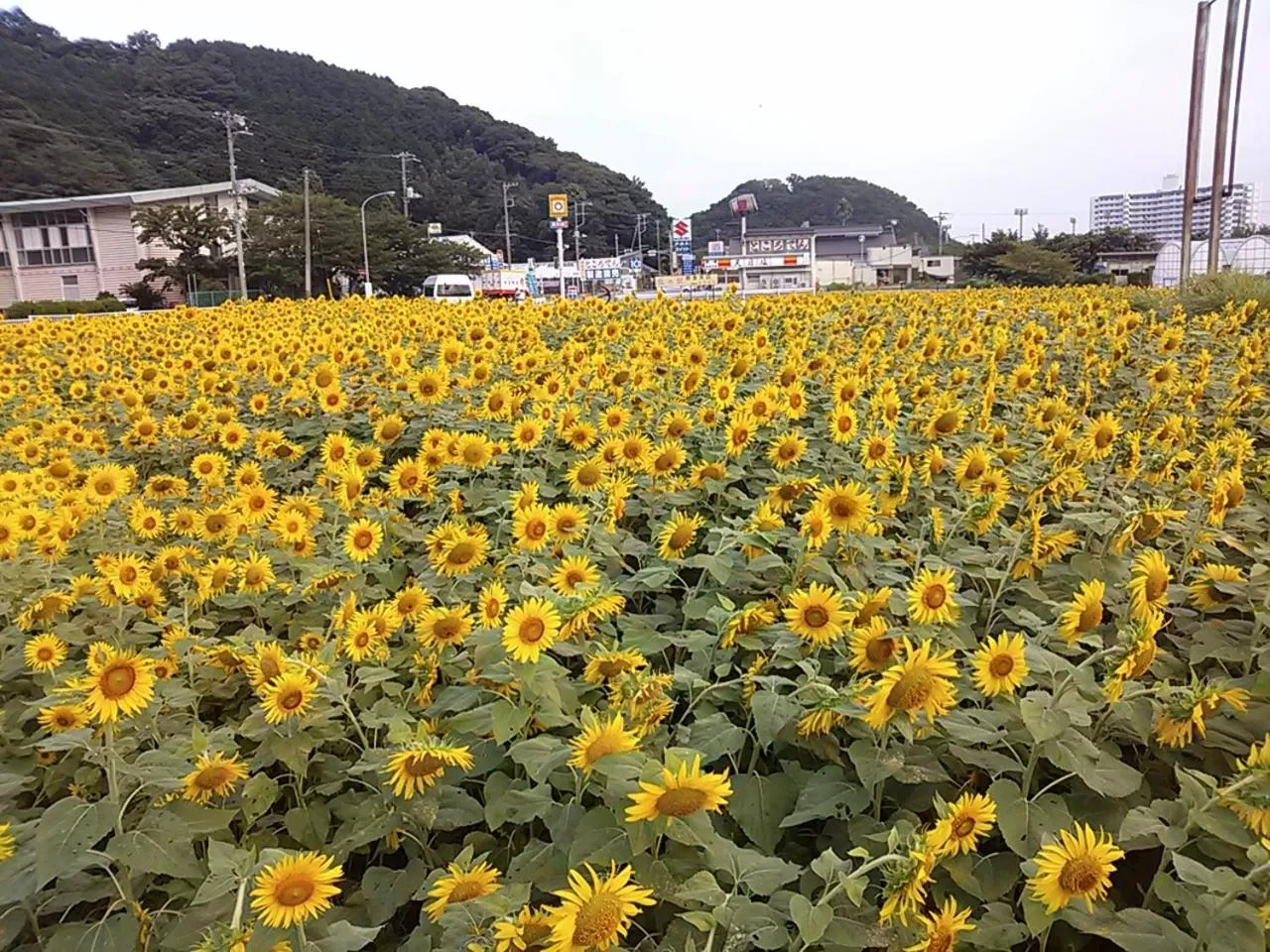 Off site in Koibito Misaki Pension Marine Mates