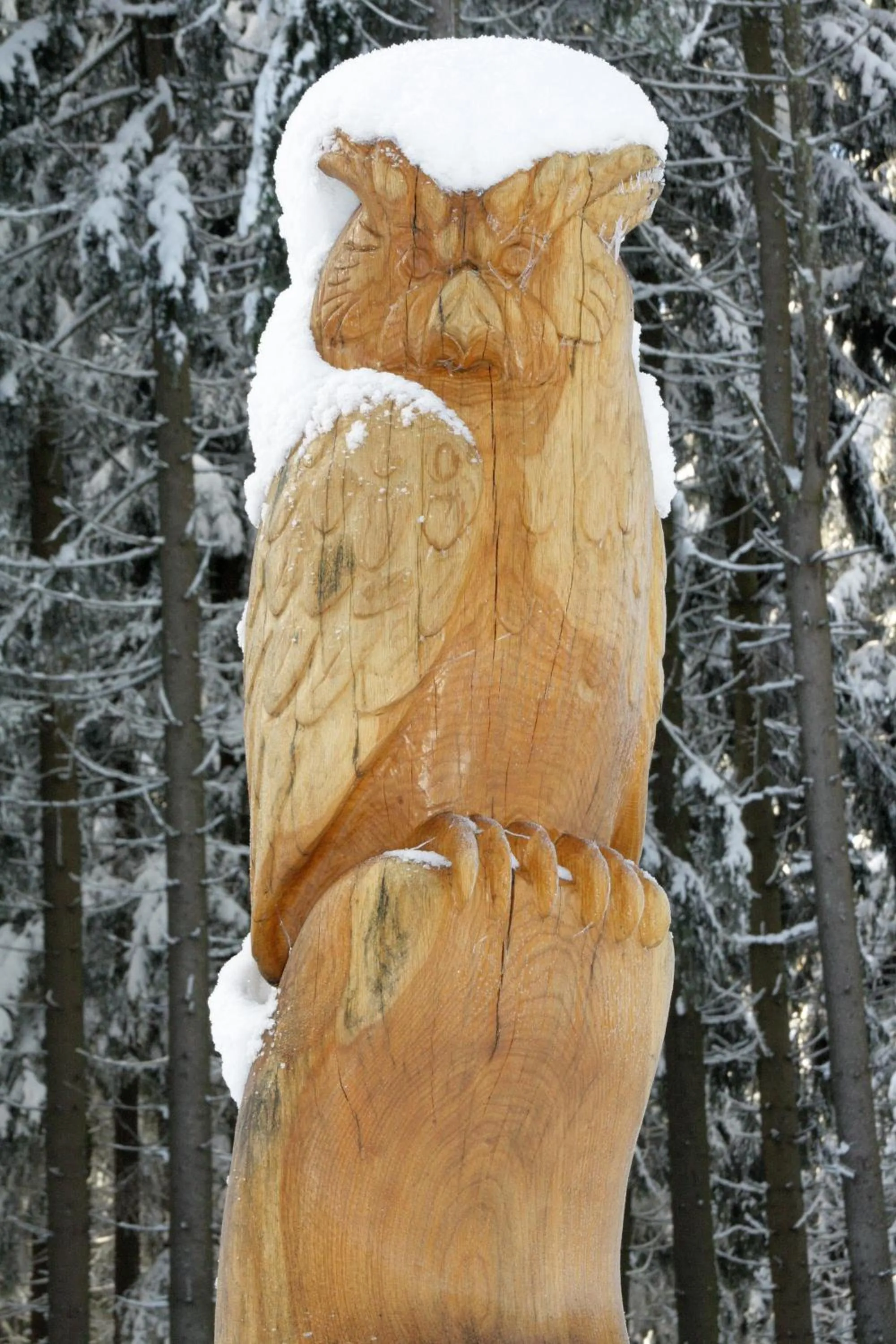 Patio in Waldhotel Rennsteighöhe