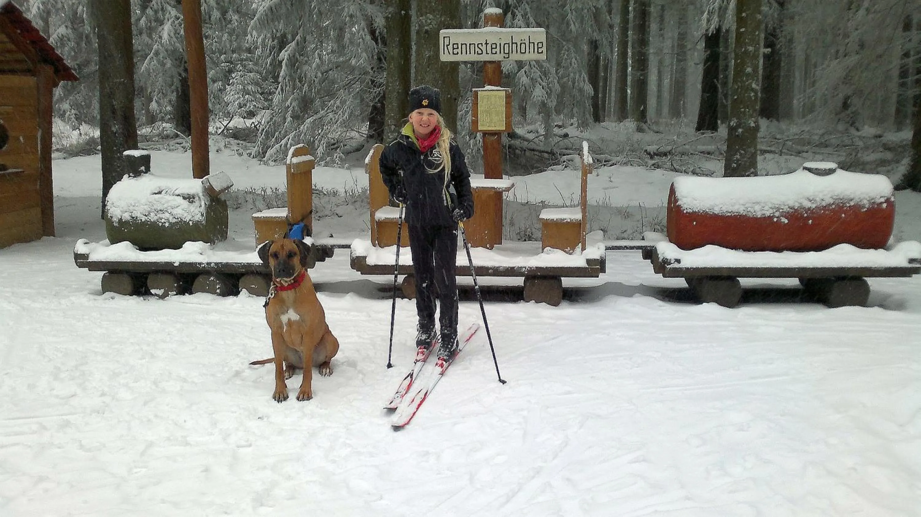 Day in Waldhotel Rennsteighöhe