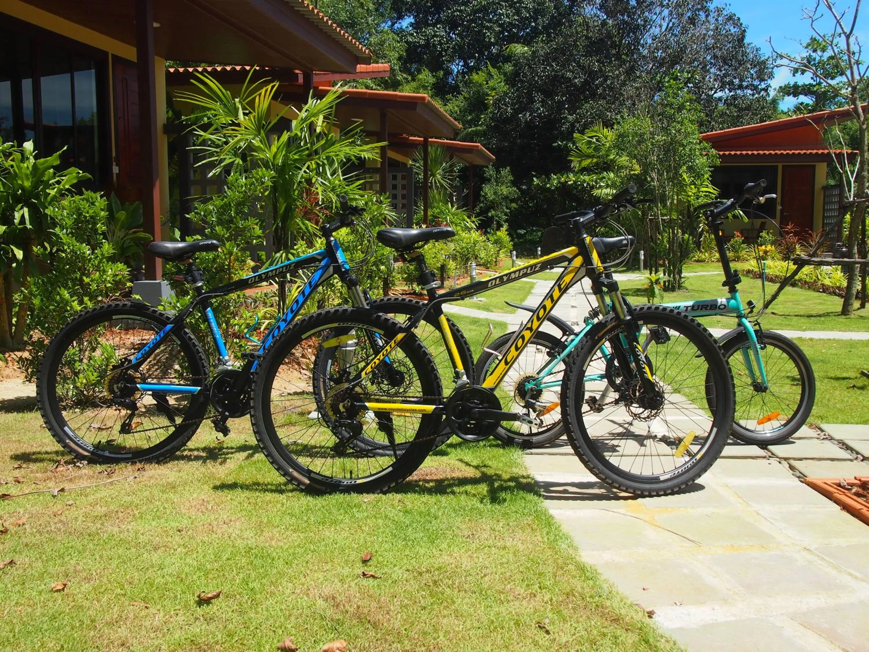 Garden in AT Bangsak Resort