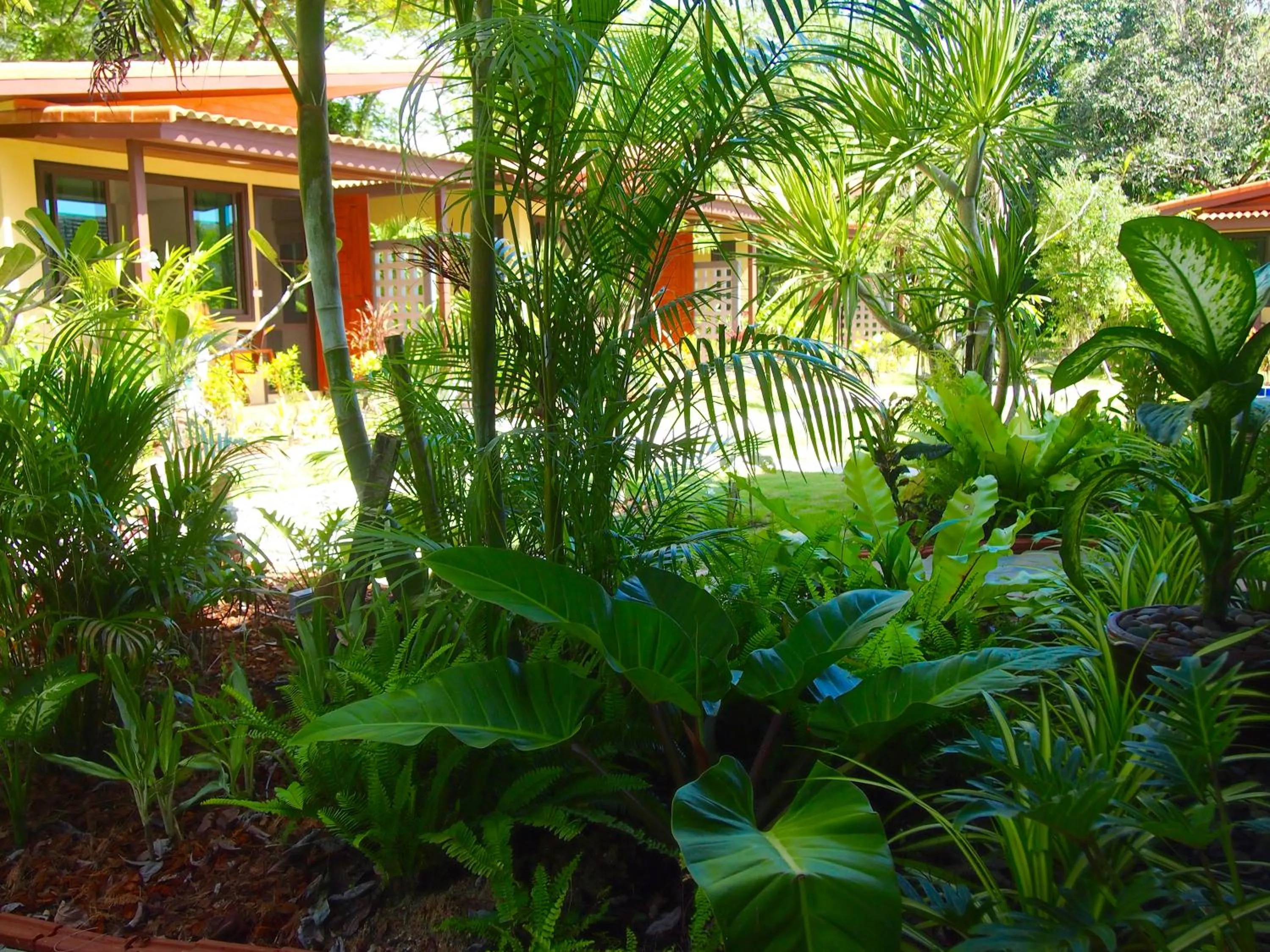 Garden in AT Bangsak Resort