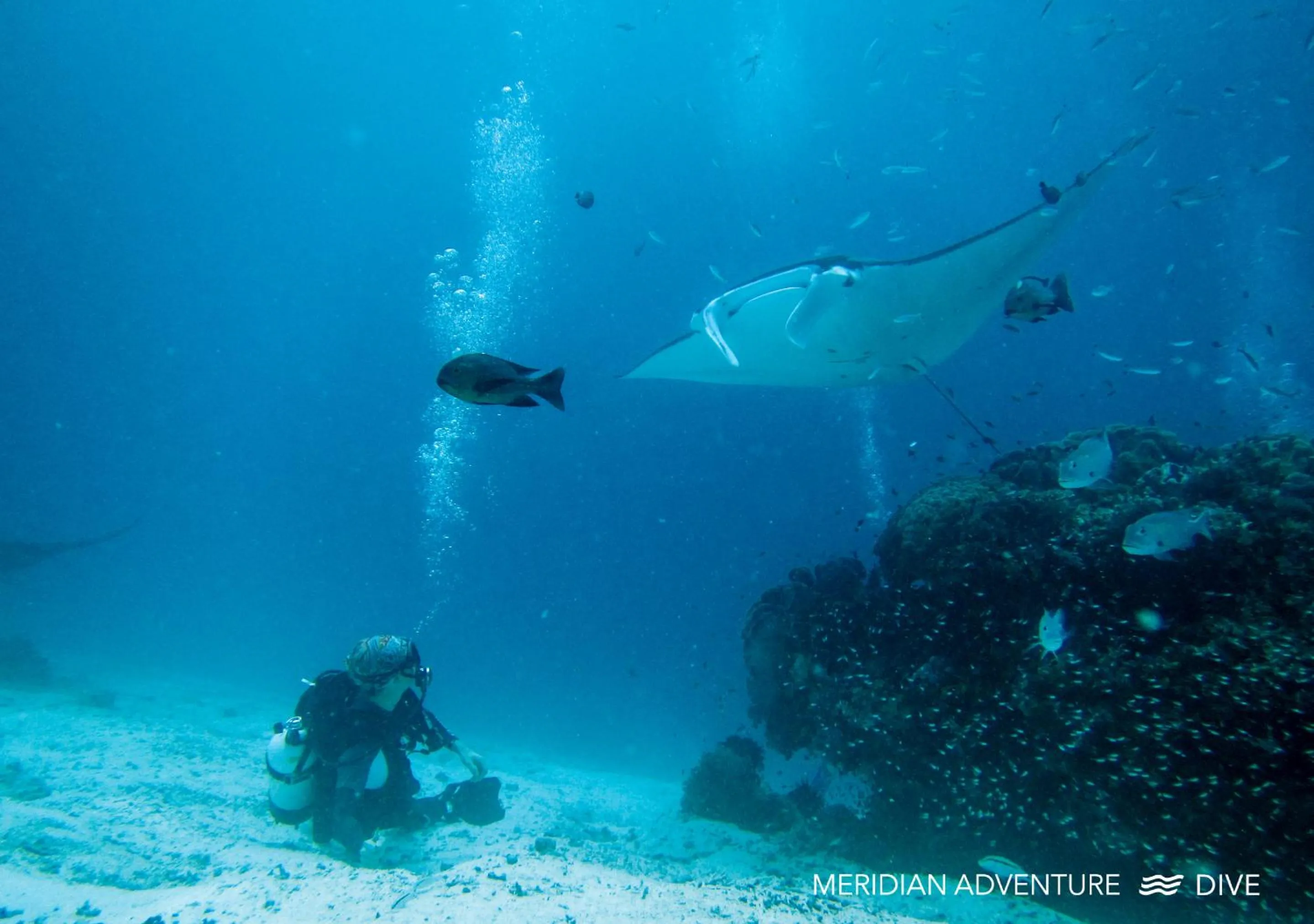 Activities in Meridian Adventure Marina Club & Resort