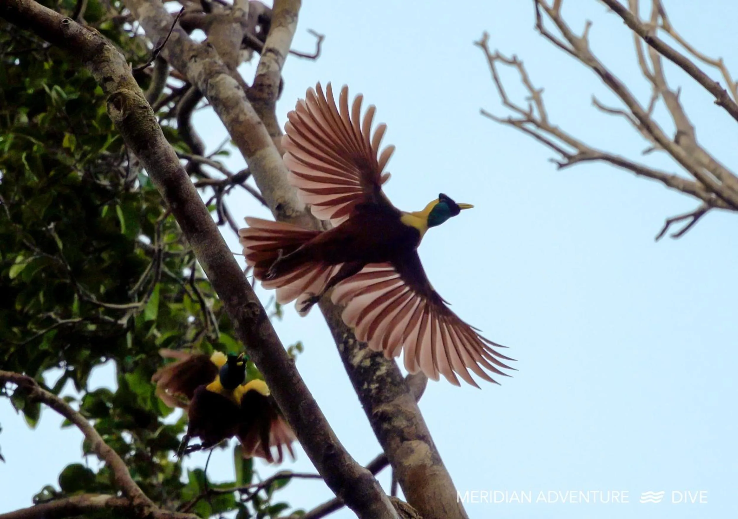 Off site in Meridian Adventure Marina Club & Resort