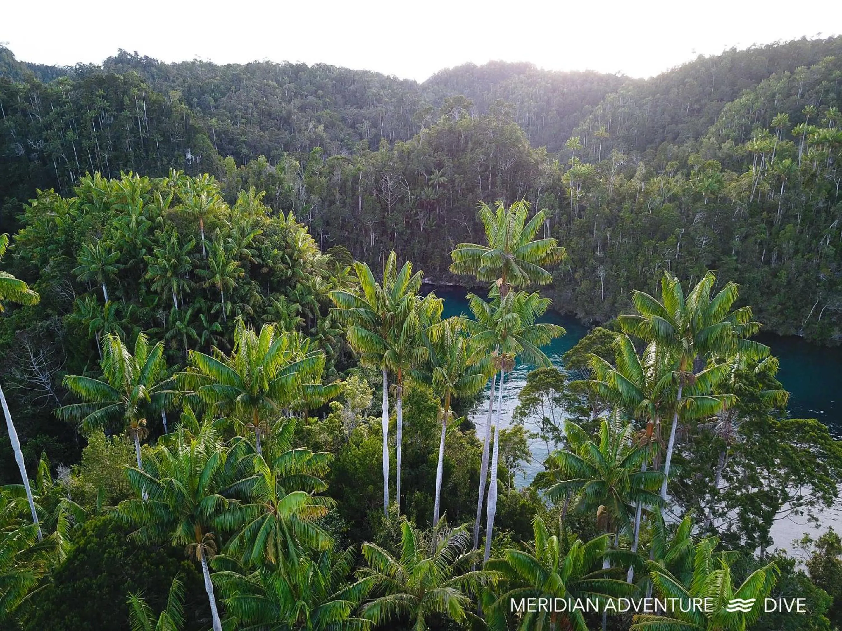 Activities in Meridian Adventure Marina Club & Resort