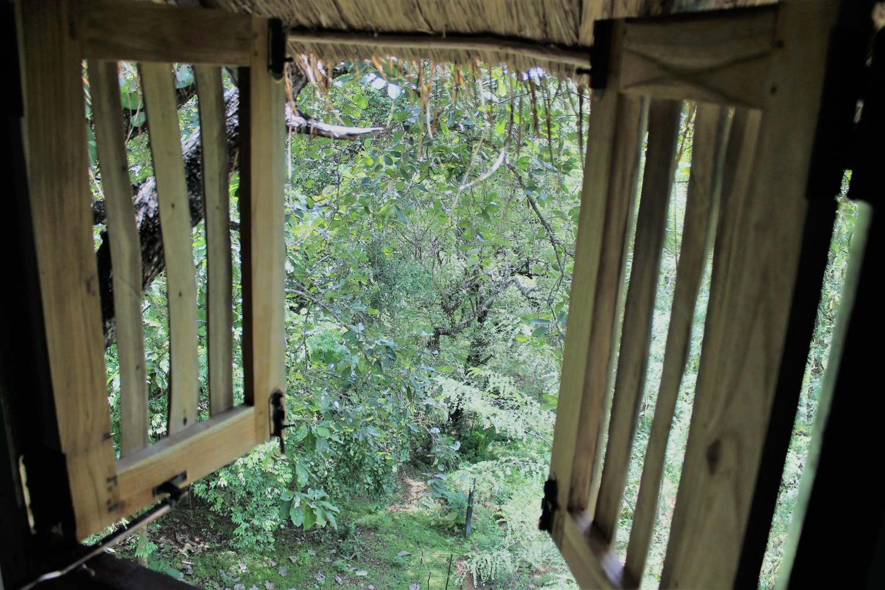 Garden view in Wildescape Polonnaruwa