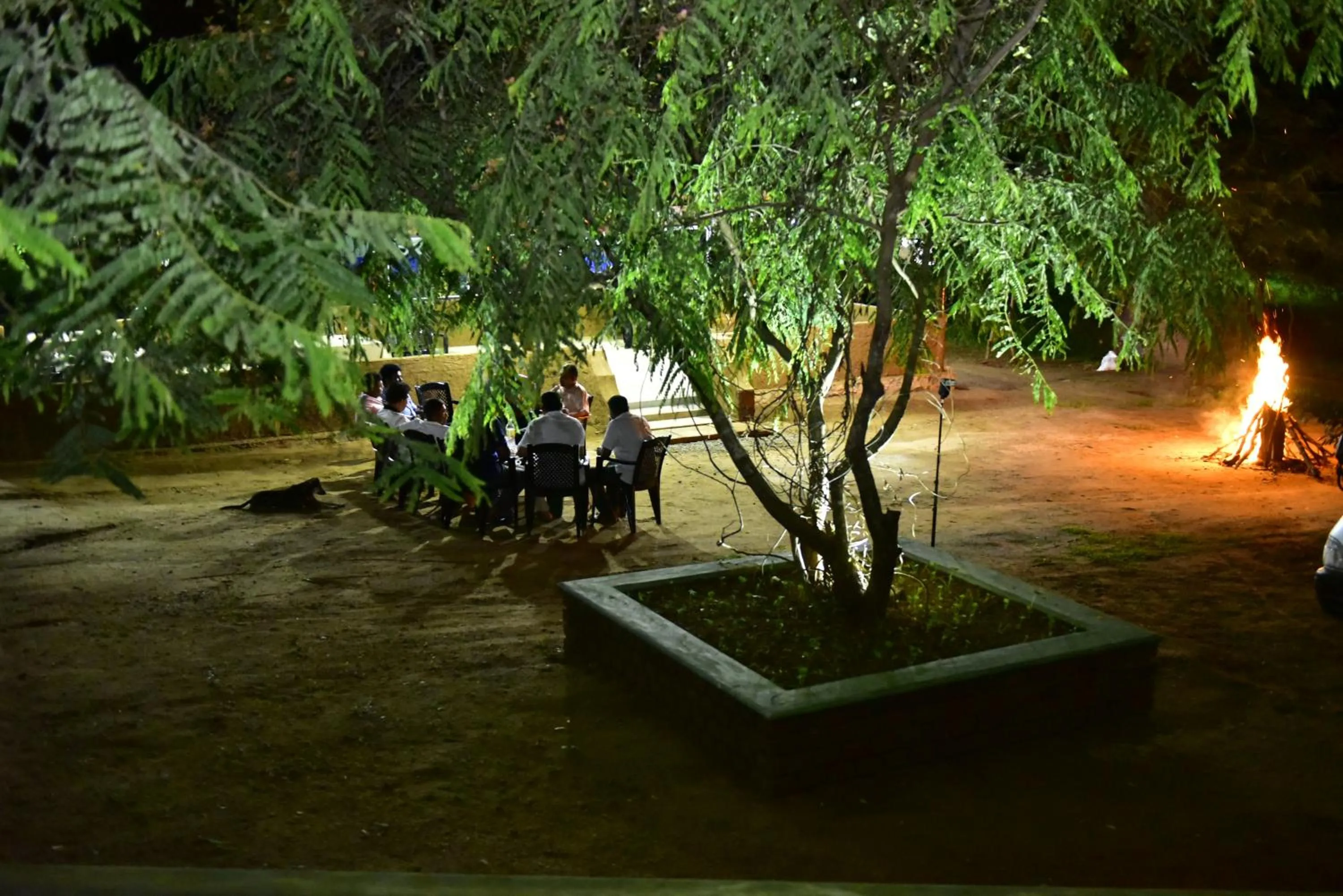 Garden view in Wildescape Polonnaruwa