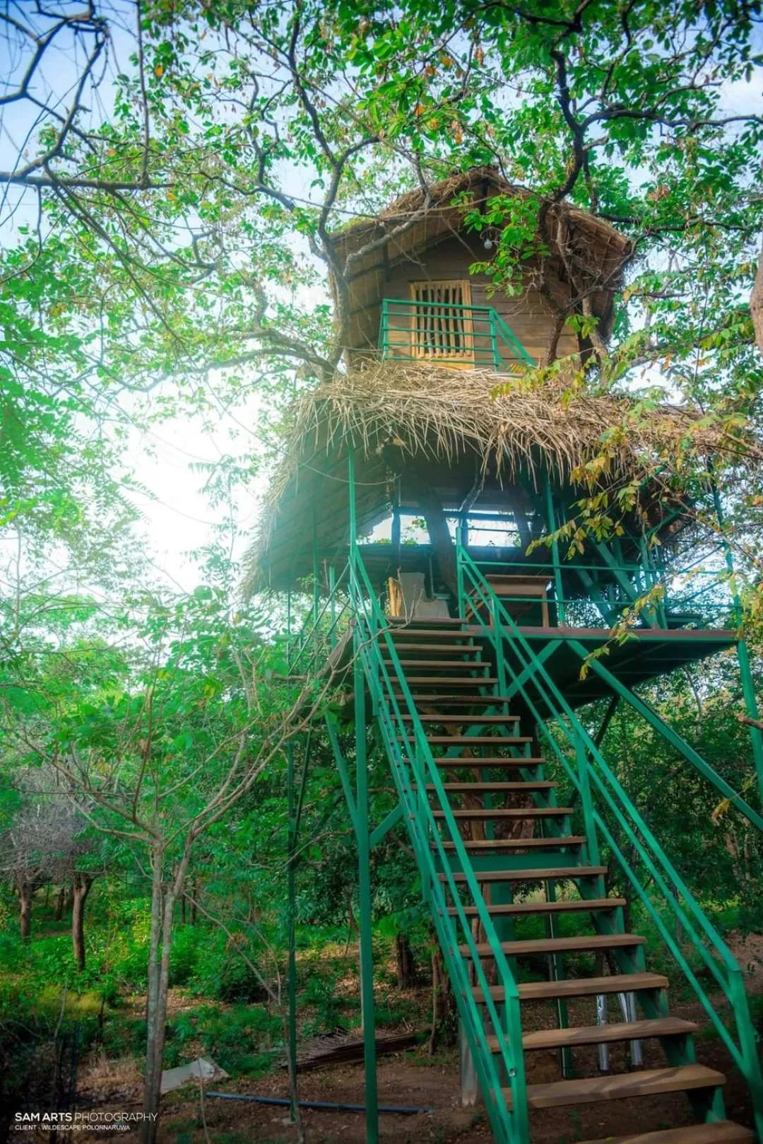 Natural landscape in Wildescape Polonnaruwa