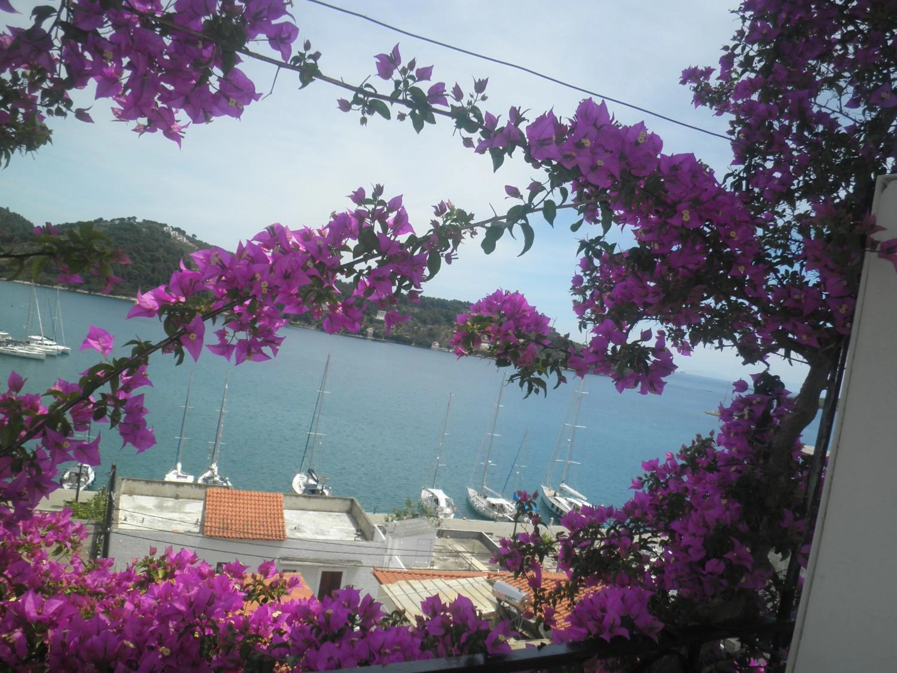 View (from property/room) in Babis