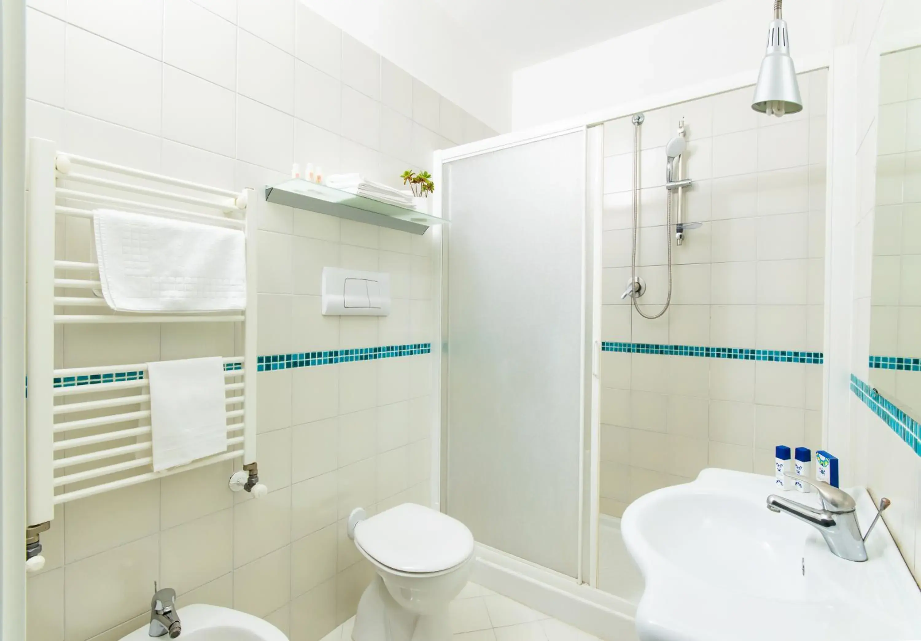 Bathroom in Residence Due Torri Bathroom in Residence Due Torri