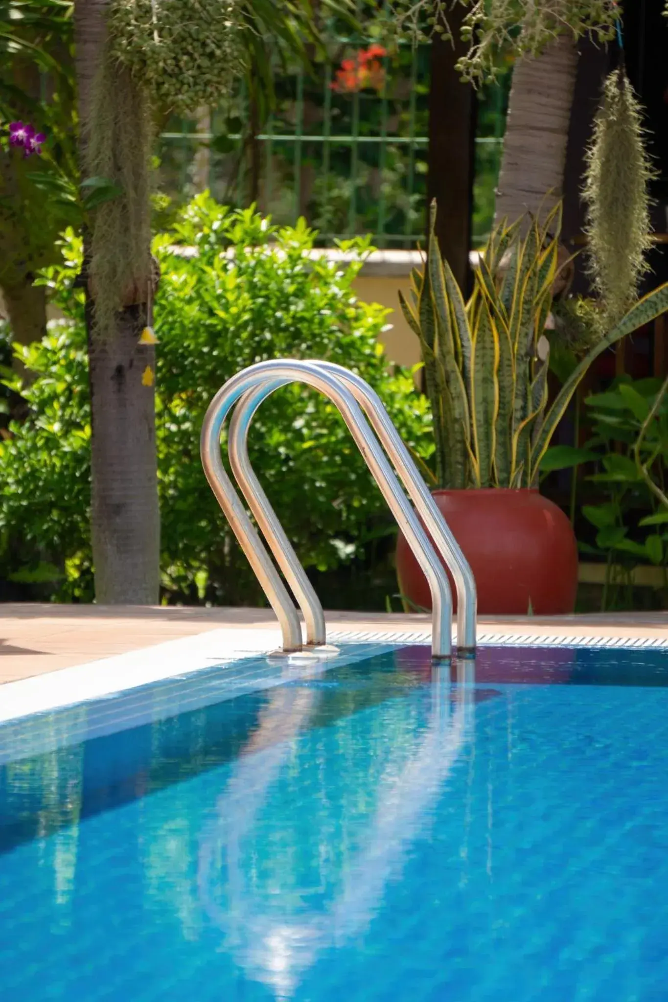 Swimming pool in Riviera Hotel & Resort Kep Swimming pool in Riviera Hotel & Resort Kep