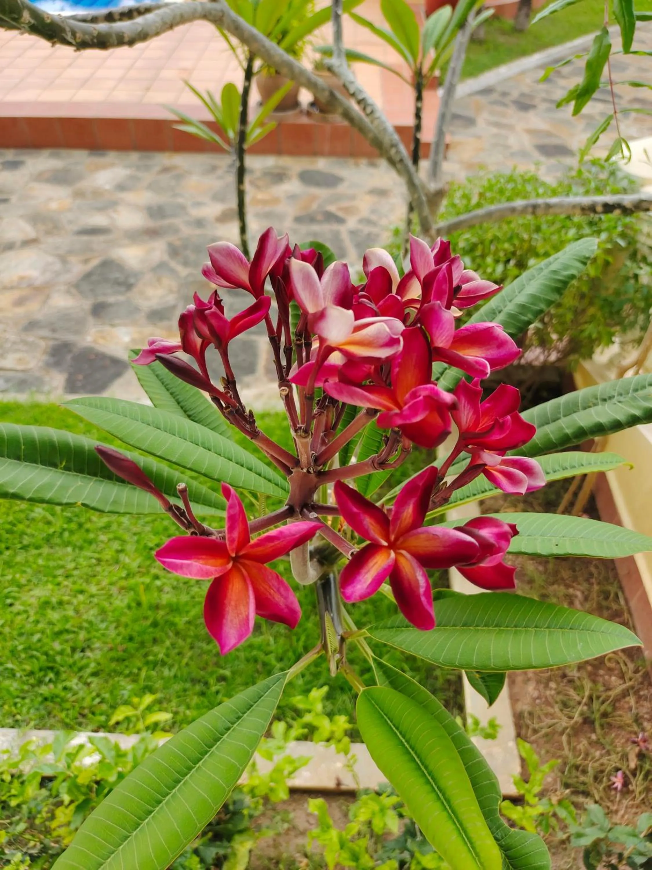 Day in Riviera Hotel & Resort Kep