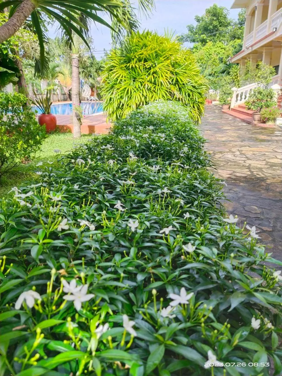 Day in Riviera Hotel & Resort Kep