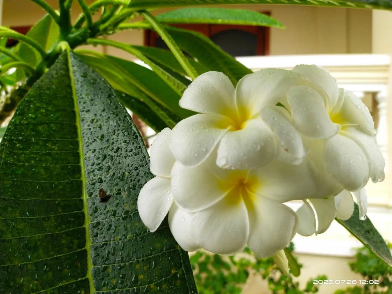 Day in Riviera Hotel & Resort Kep