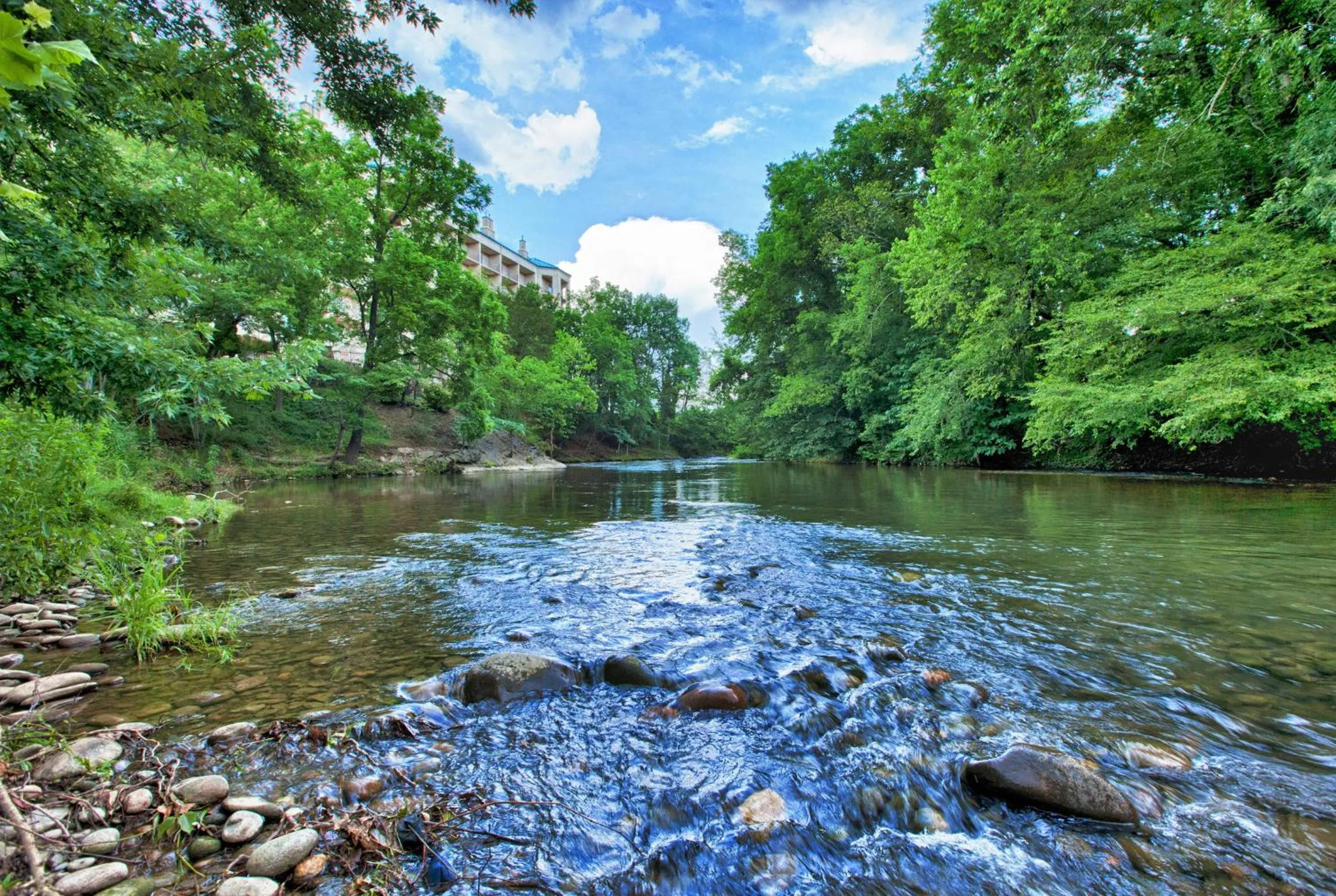 Natural landscape in Music Road Resort Hotel and Inn
