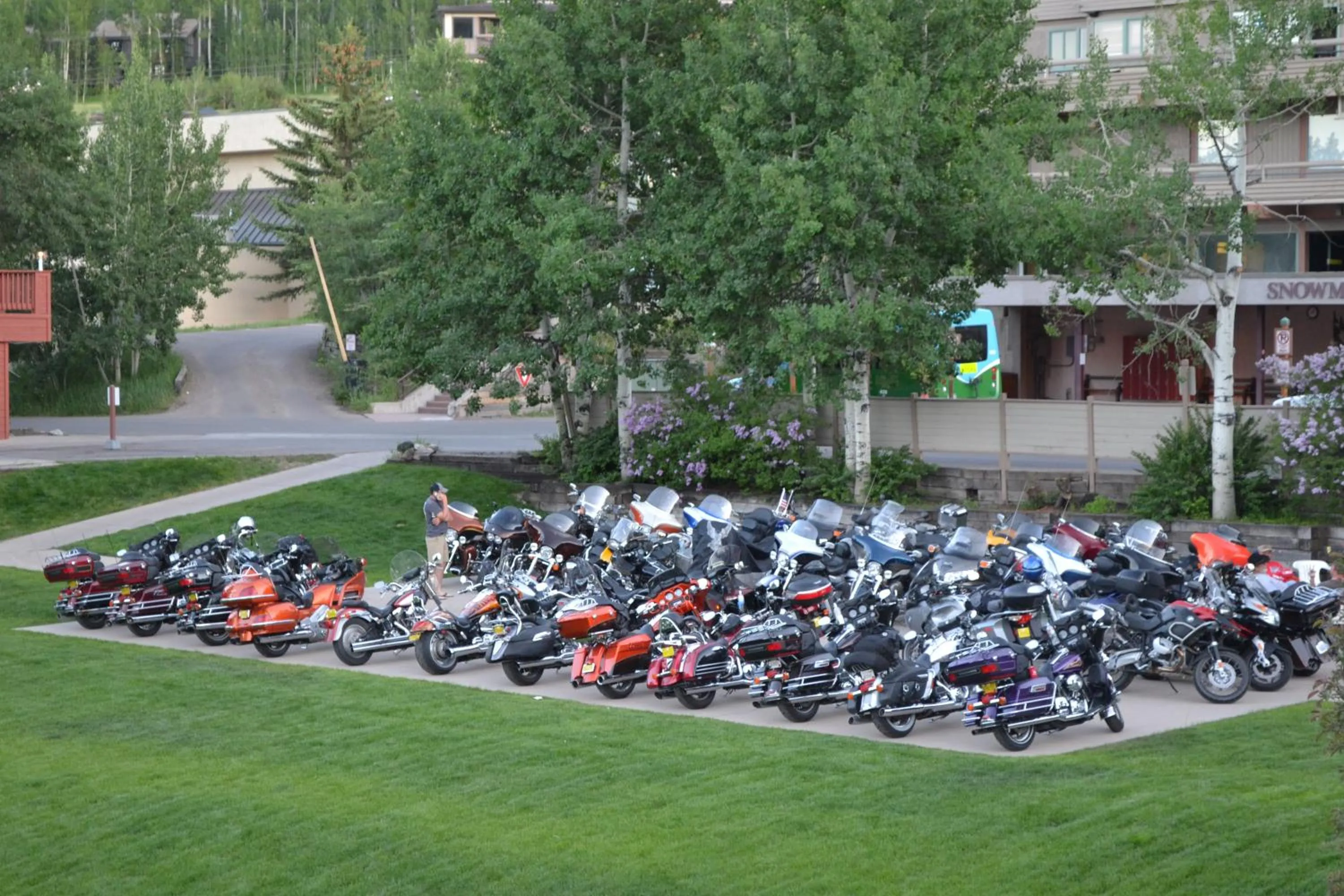 Area and facilities in Pokolodi Lodge