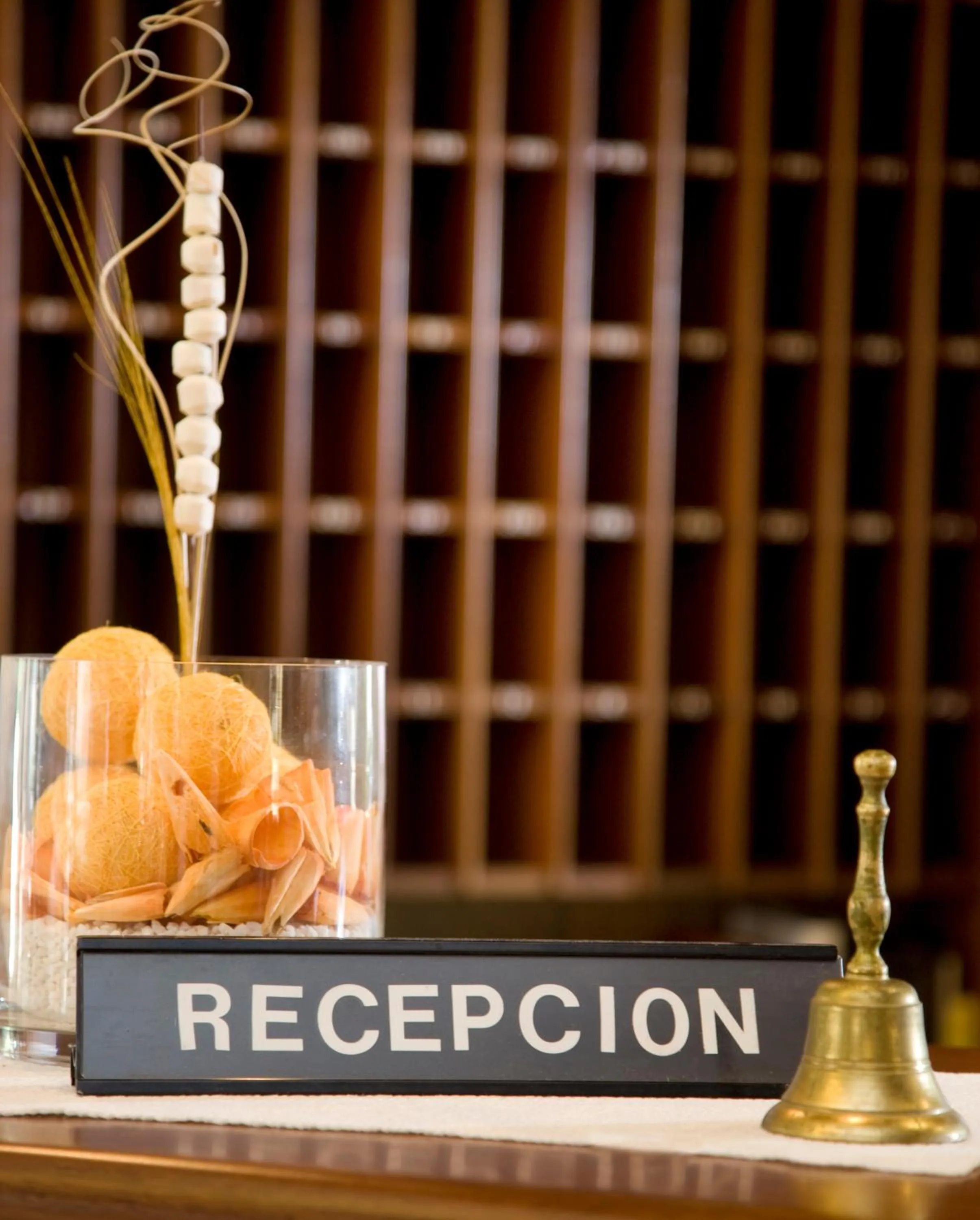 Lobby or reception in Hotel Ses Puntetes