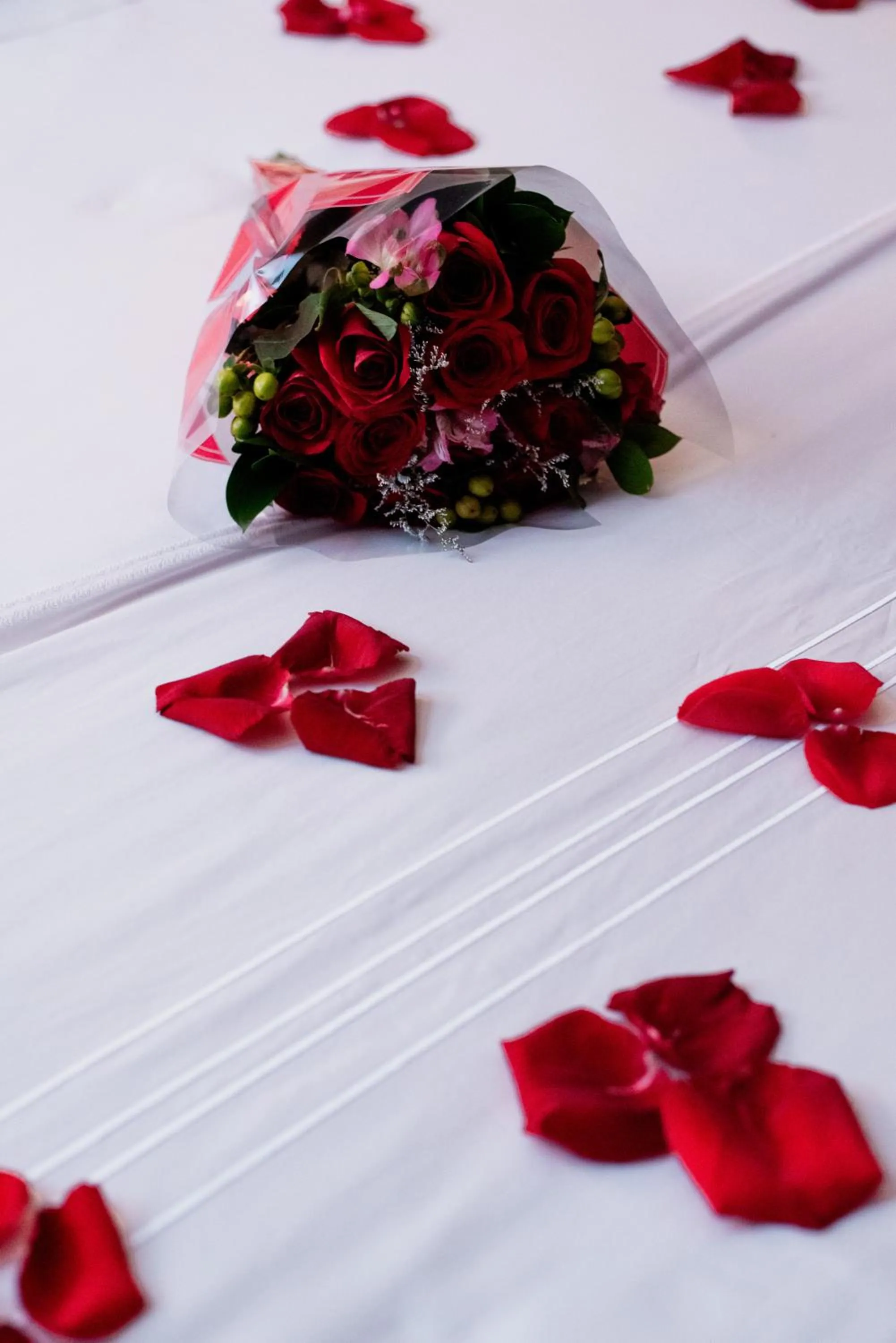 Hotel Cabrera Imperial By key 33