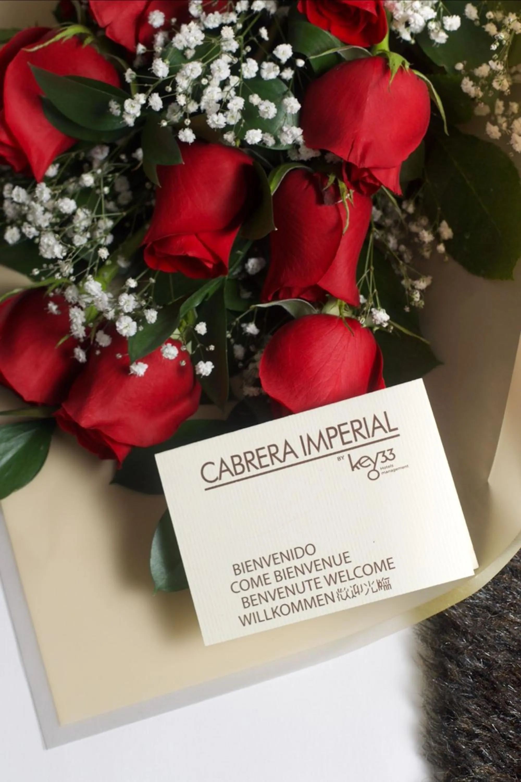 Hotel Cabrera Imperial By key 33