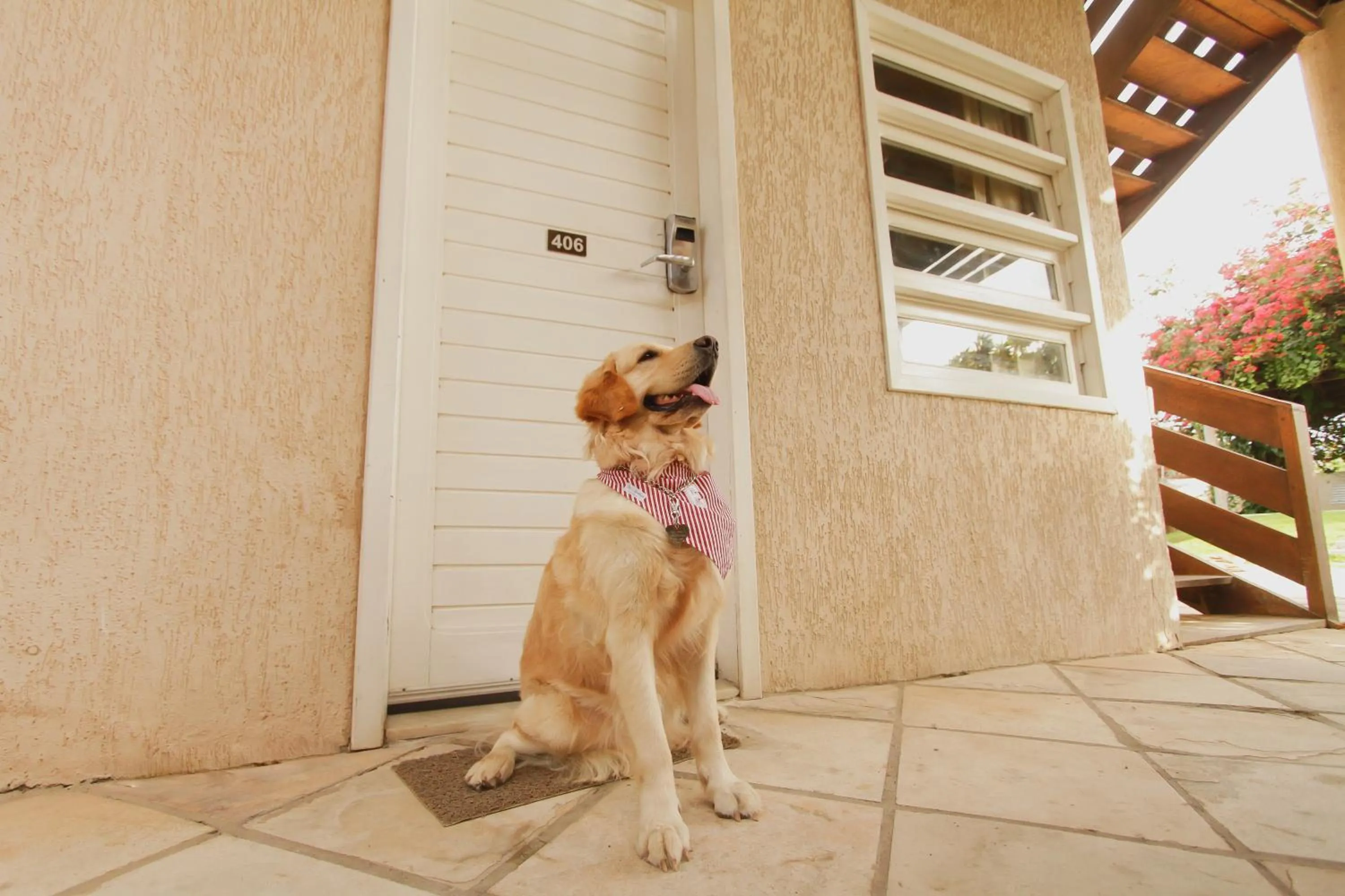 Pets in Hotel VillaOeste