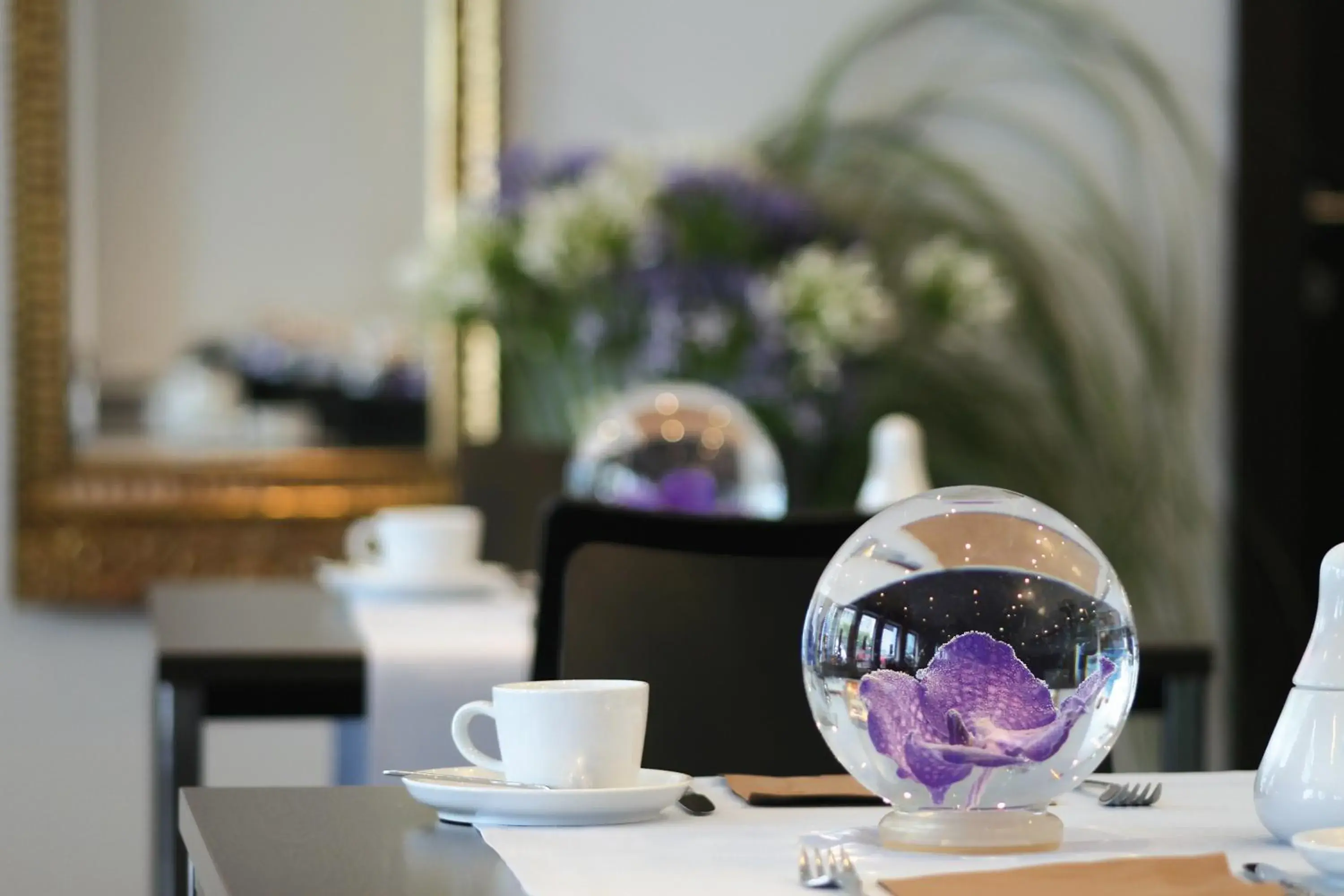 Restaurant/places to eat in Schiller 5 Hotel Restaurant/places to eat in Schiller 5 Hotel