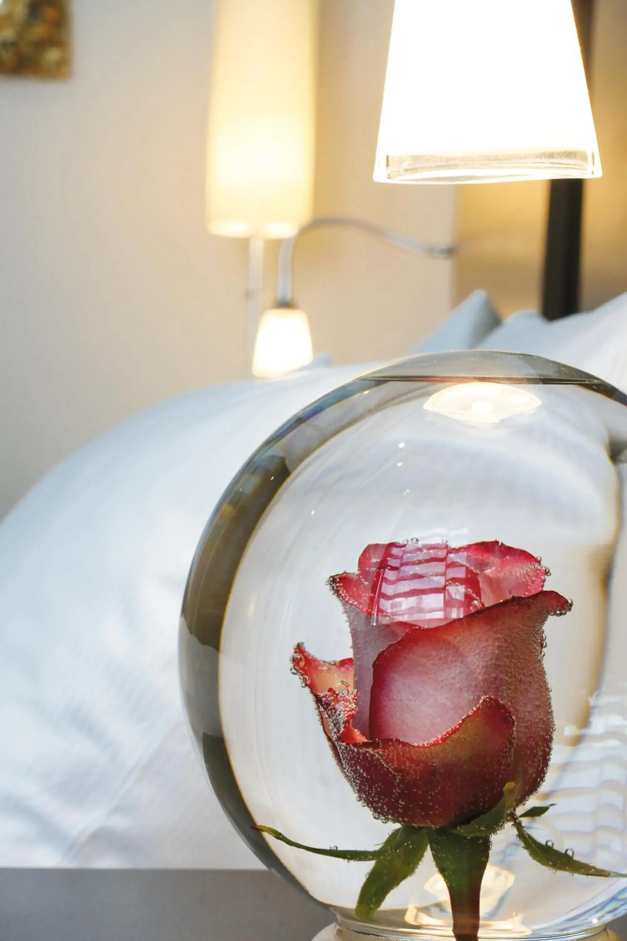 Other, Bed in Schiller 5 Hotel Other, Bed in Schiller 5 Hotel