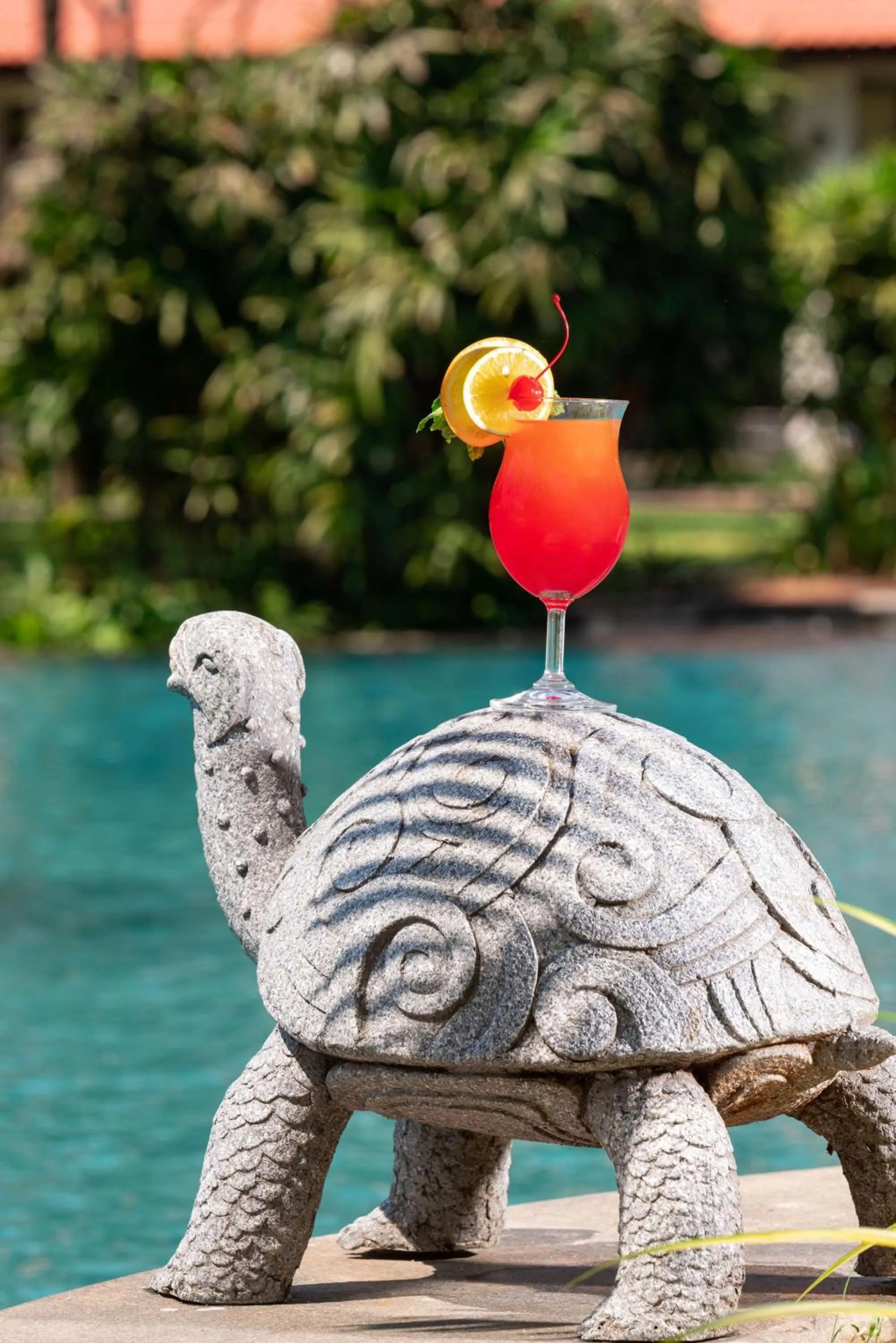 Food and drinks in Radisson Blu Resort Temple Bay Mamallapuram