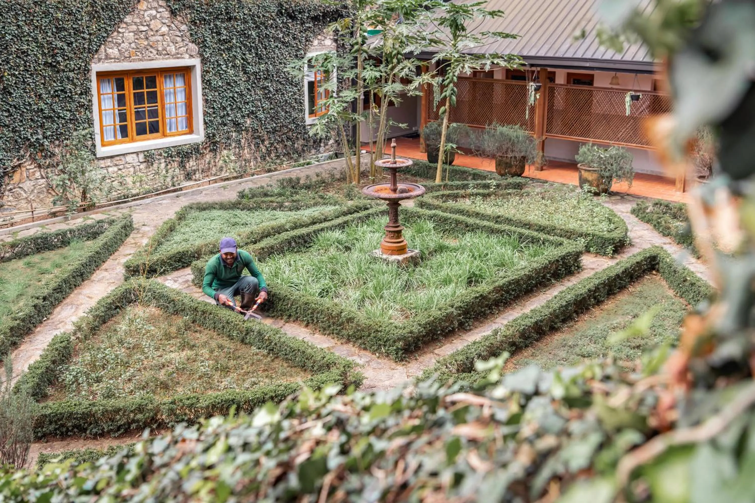 Garden in Jetwing Warwick Gardens