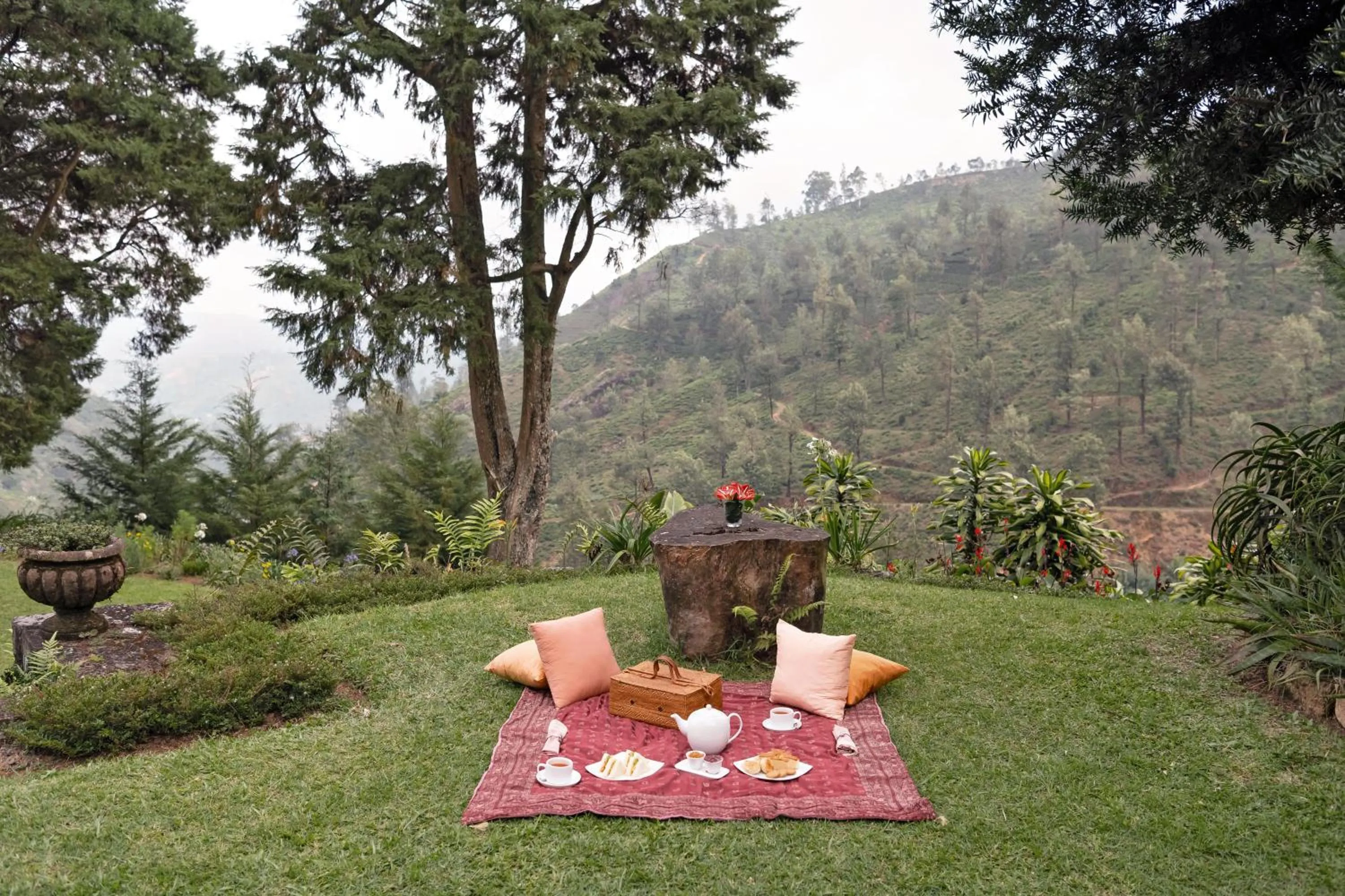 Mountain view in Jetwing Warwick Gardens