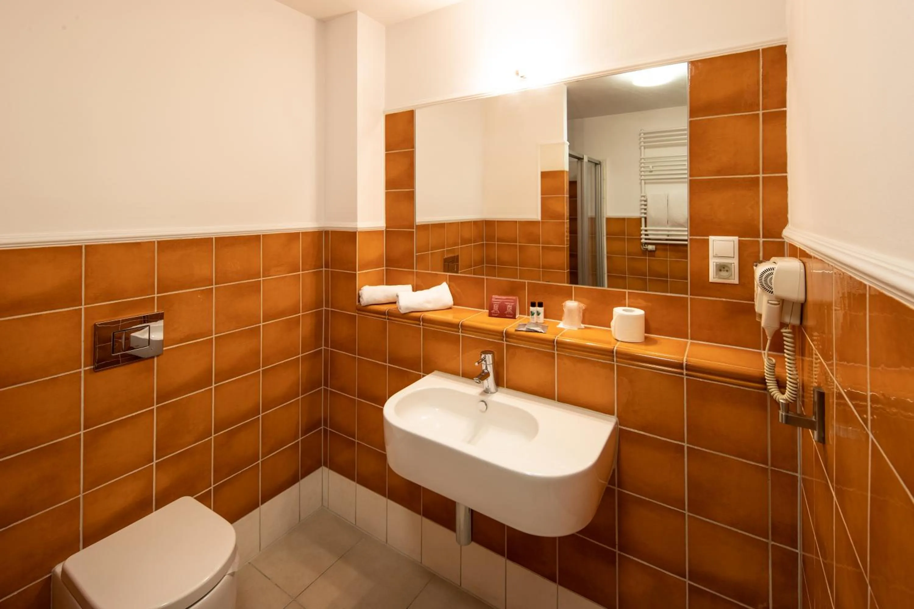 Bathroom in Hotel Słoneczny Młyn