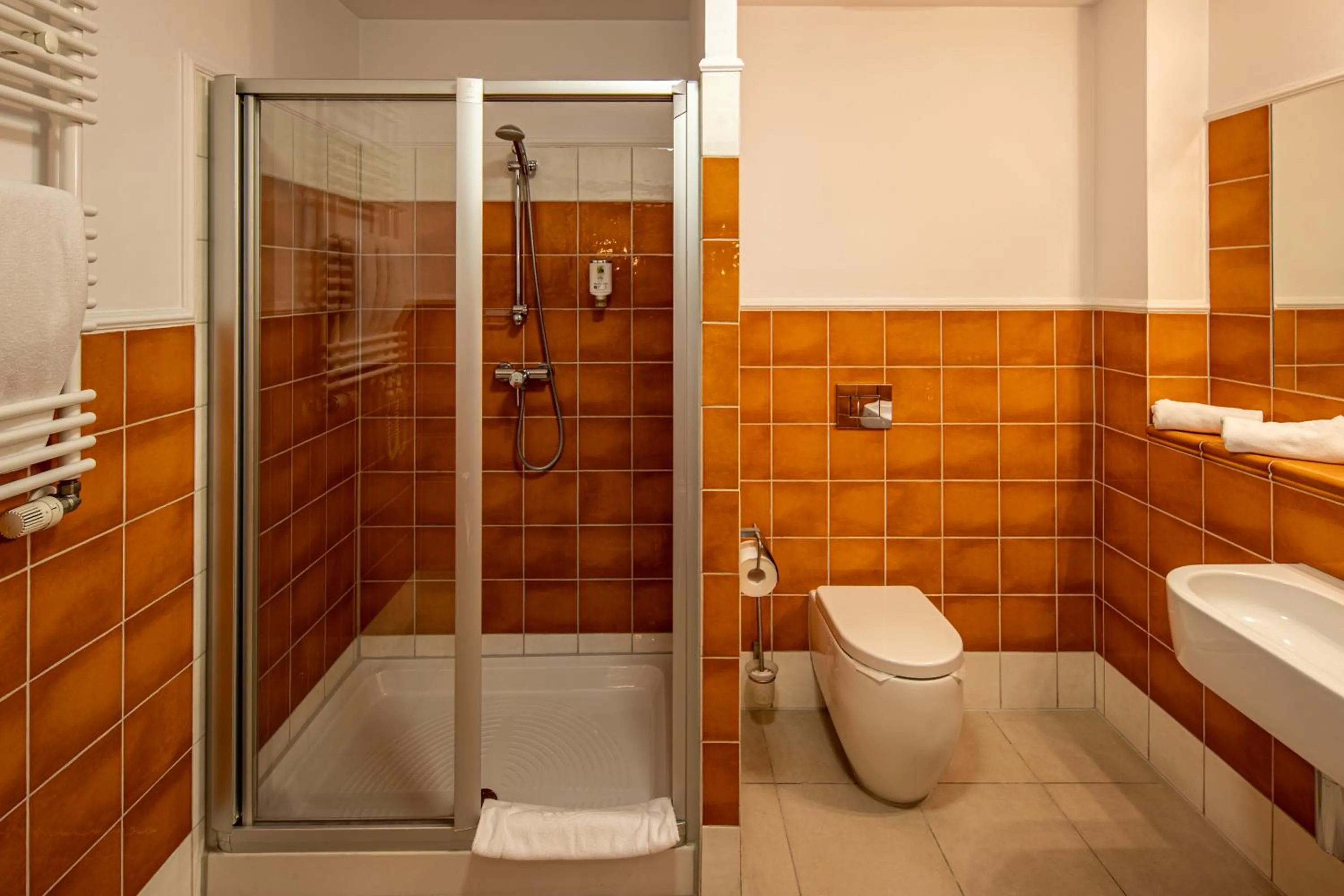 Bathroom in Hotel Słoneczny Młyn
