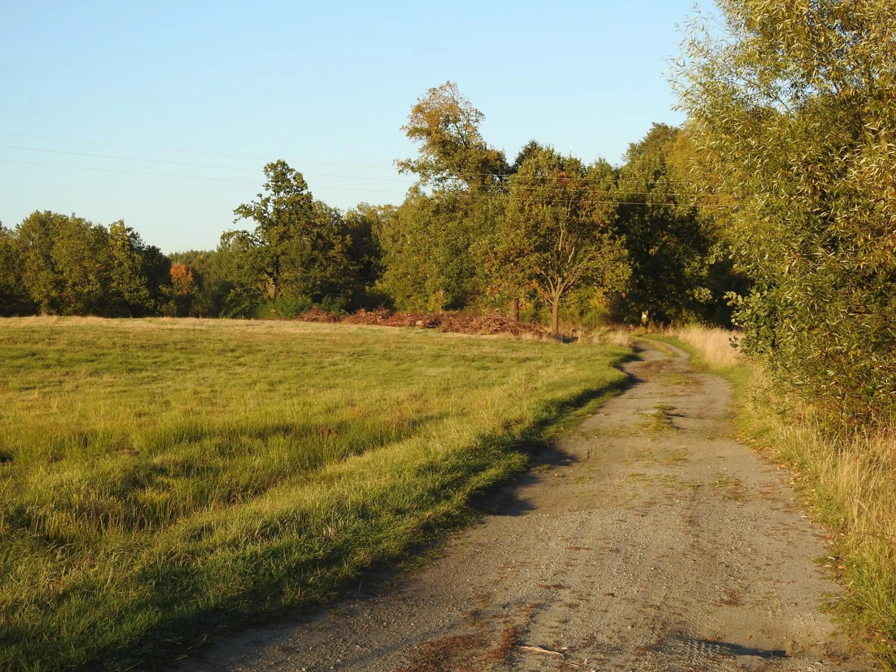 Neighbourhood in Anastasis