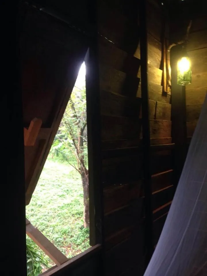 The Shadow House & Bar