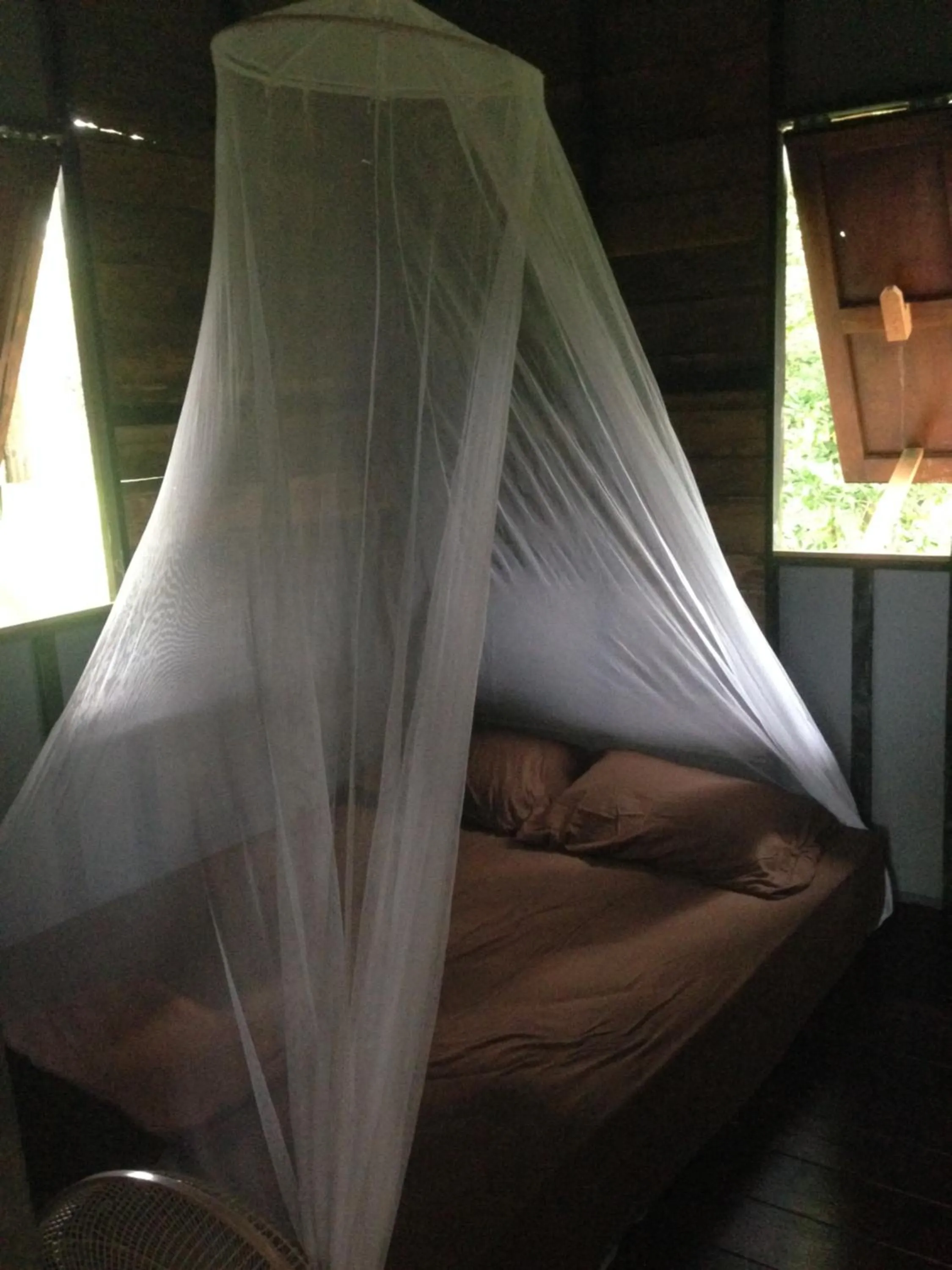 Bed in The Shadow House & Bar