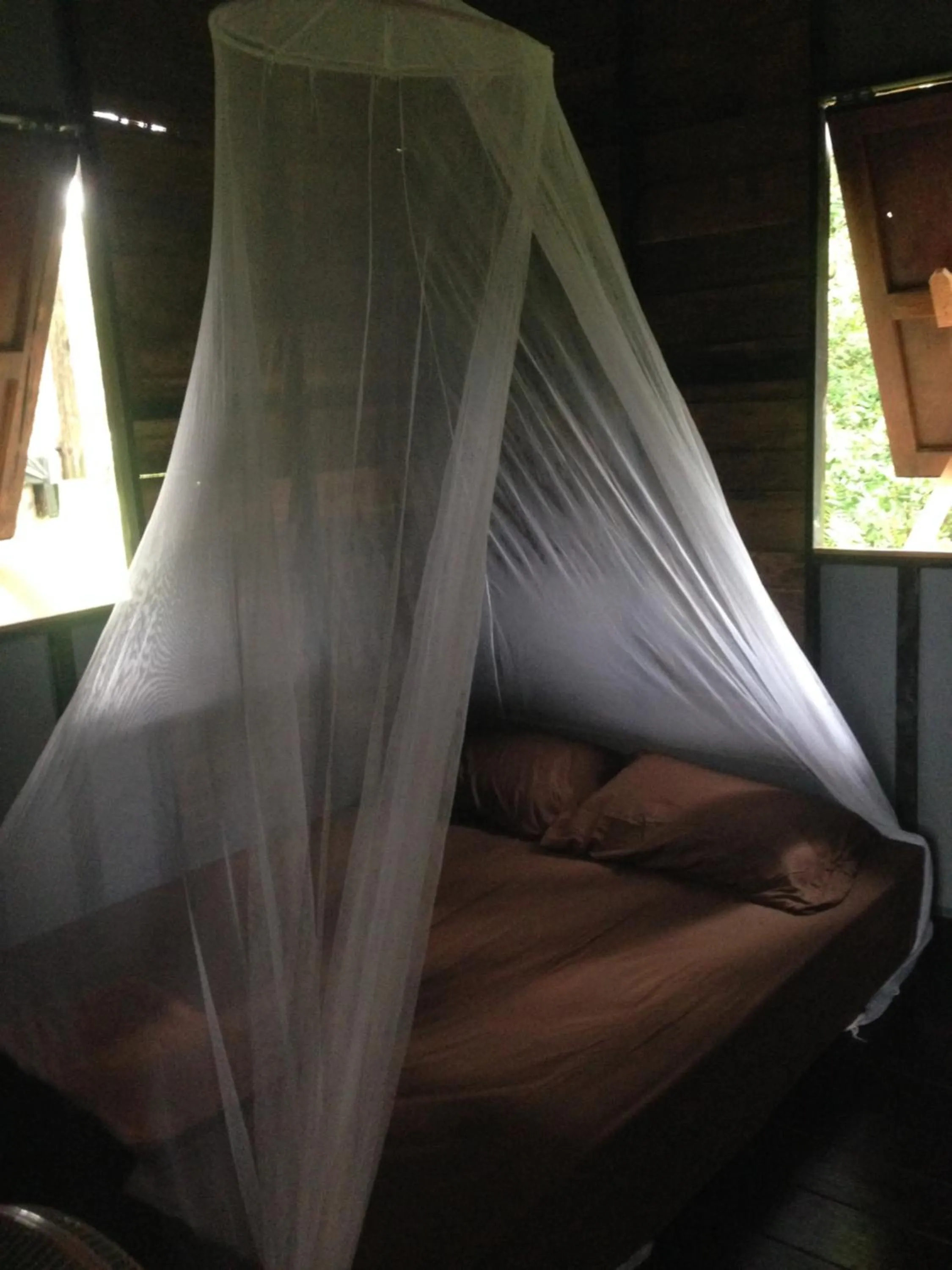 The Shadow House & Bar