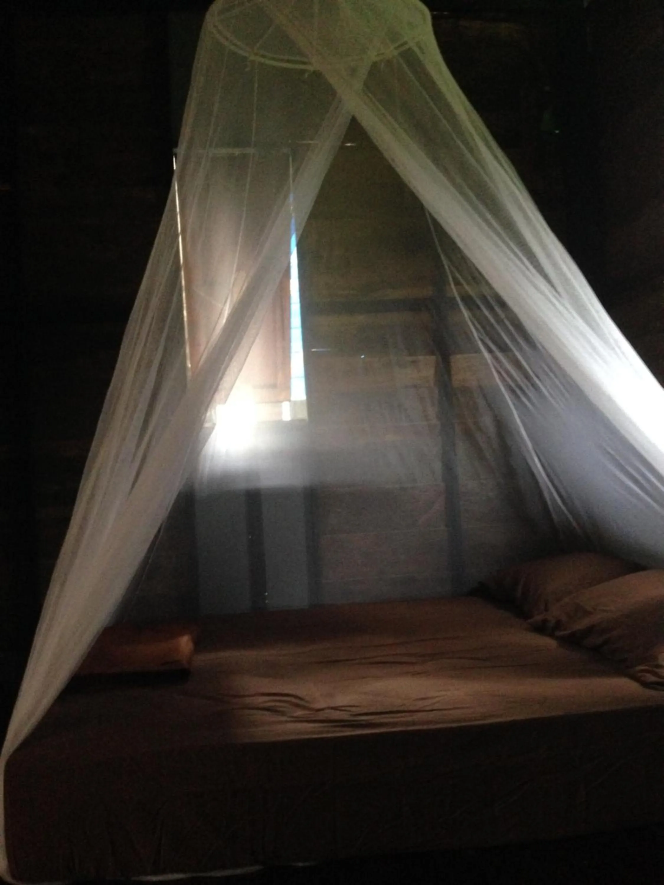 Bed in The Shadow House & Bar