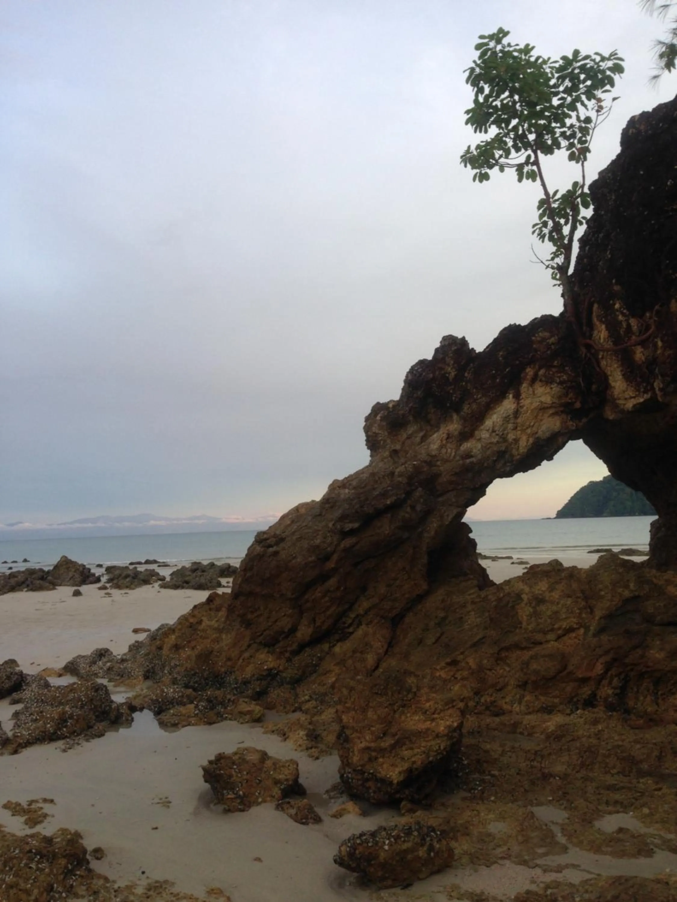 The Shadow House & Bar