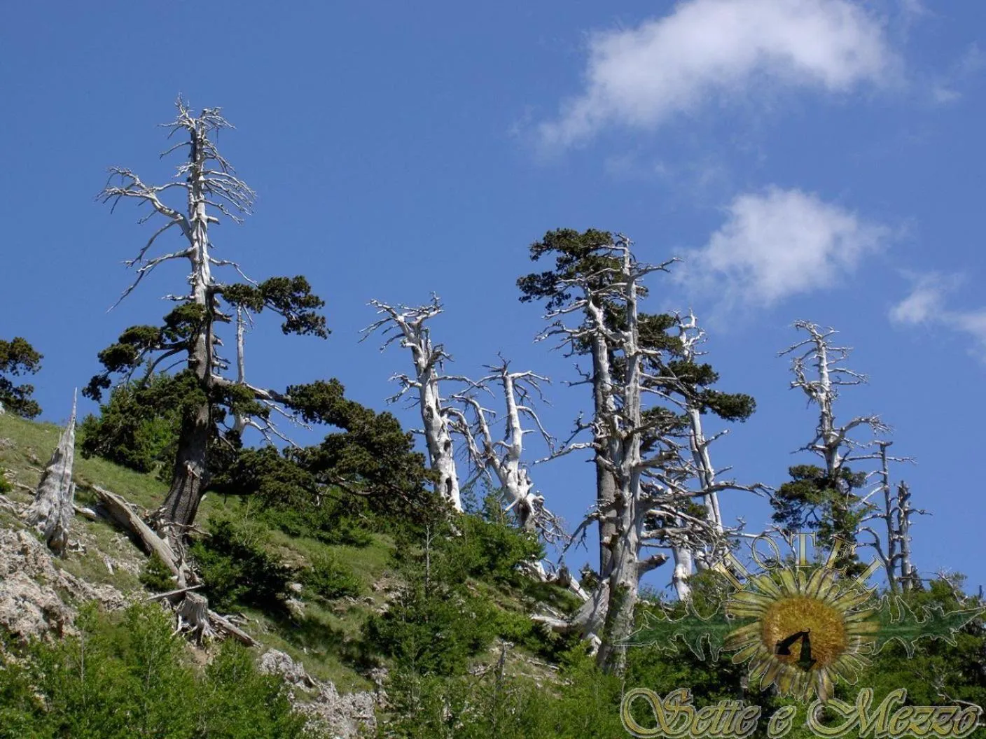 Area and facilities in Hotel Sette E Mezzo