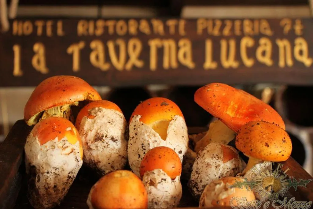 Restaurant/places to eat in Hotel Sette E Mezzo